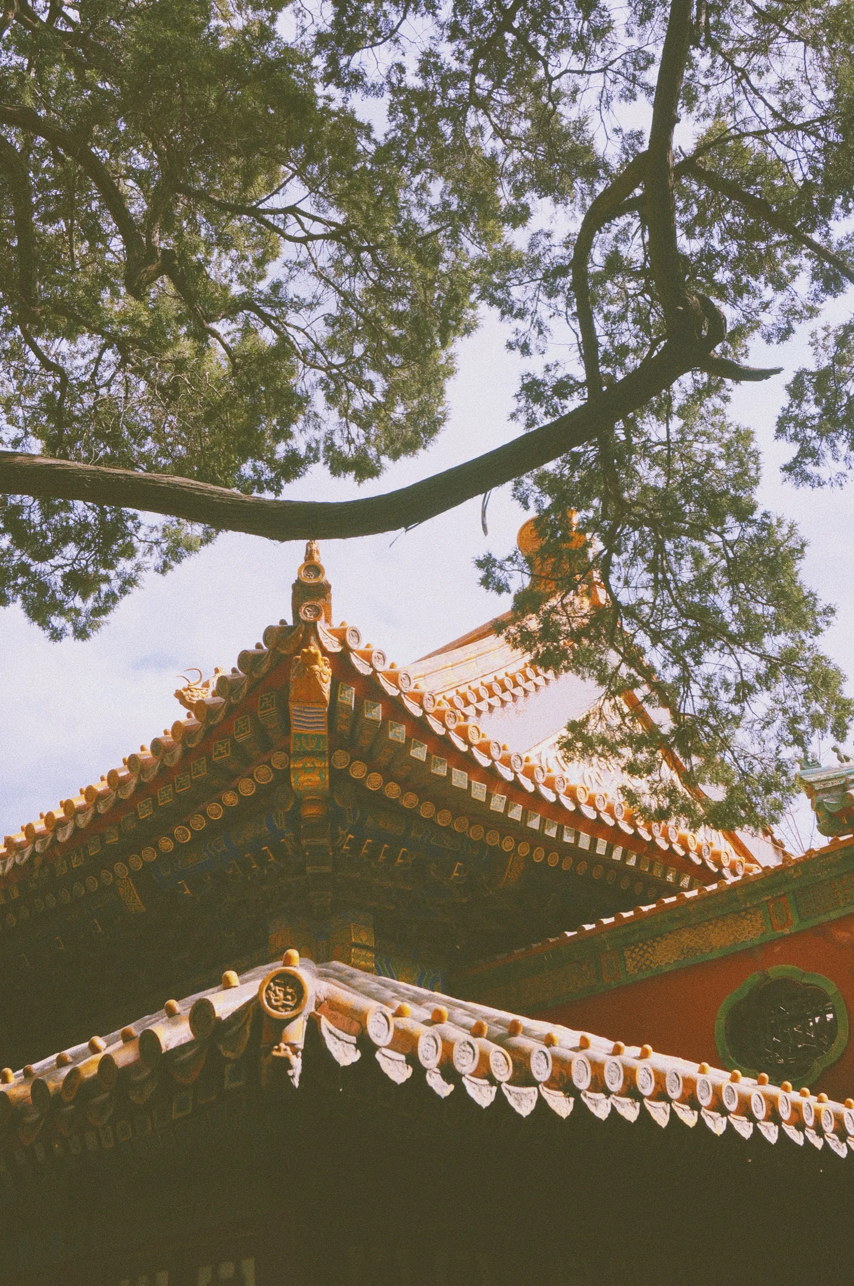 北京 第 1 张