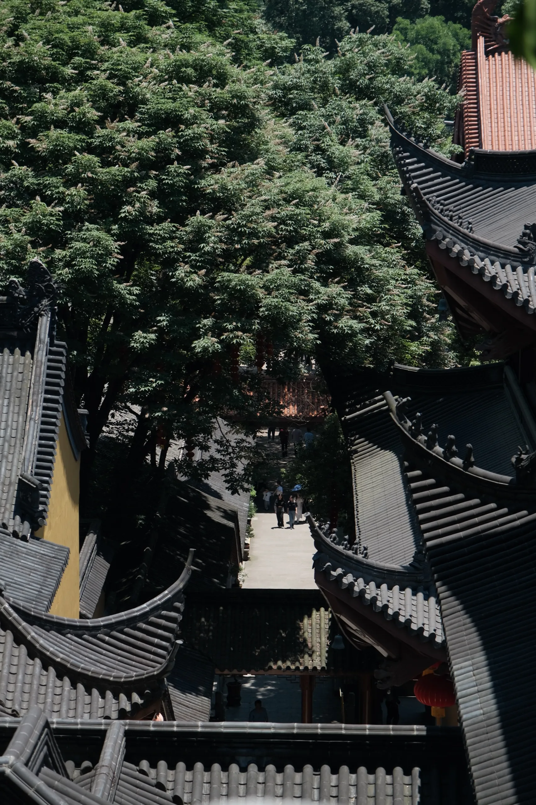 杭州 第 1 张