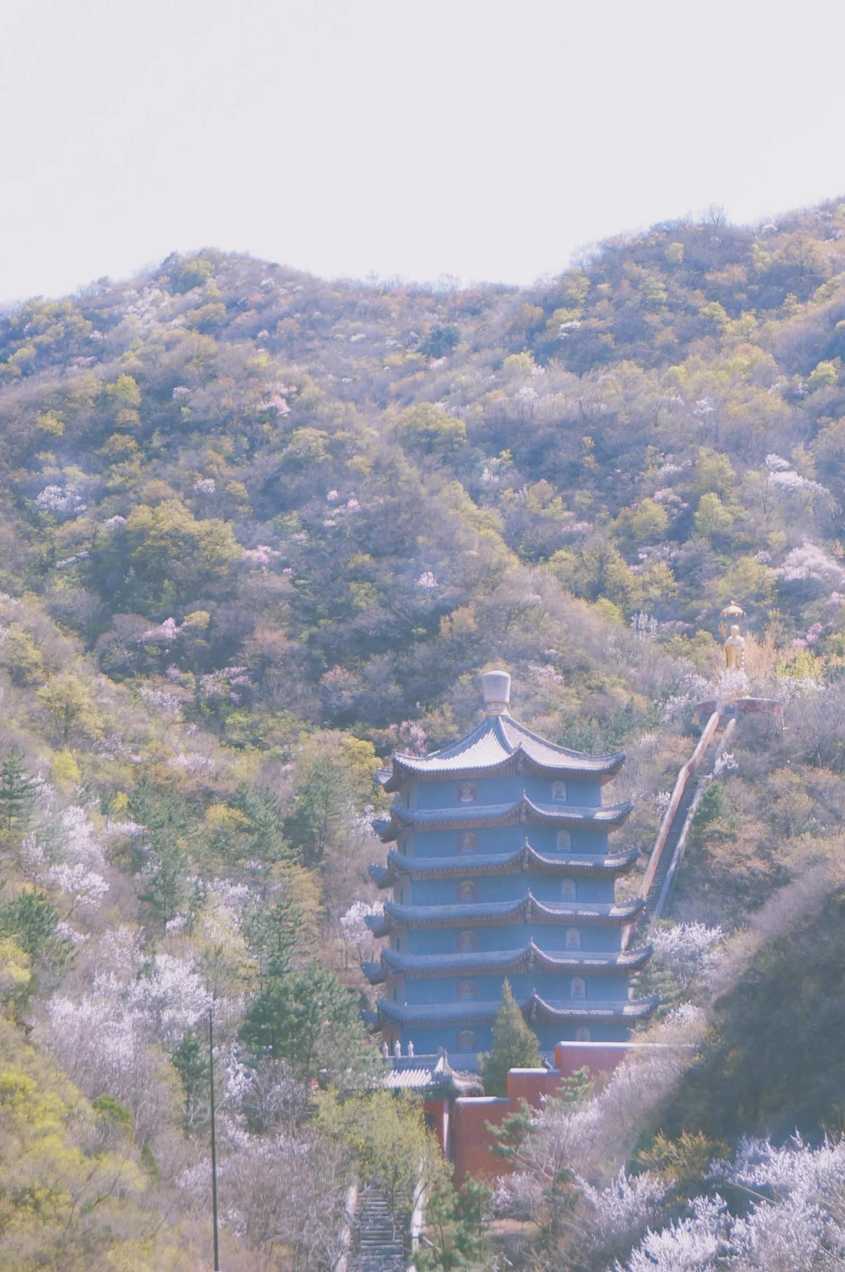 北京 第 1 张
