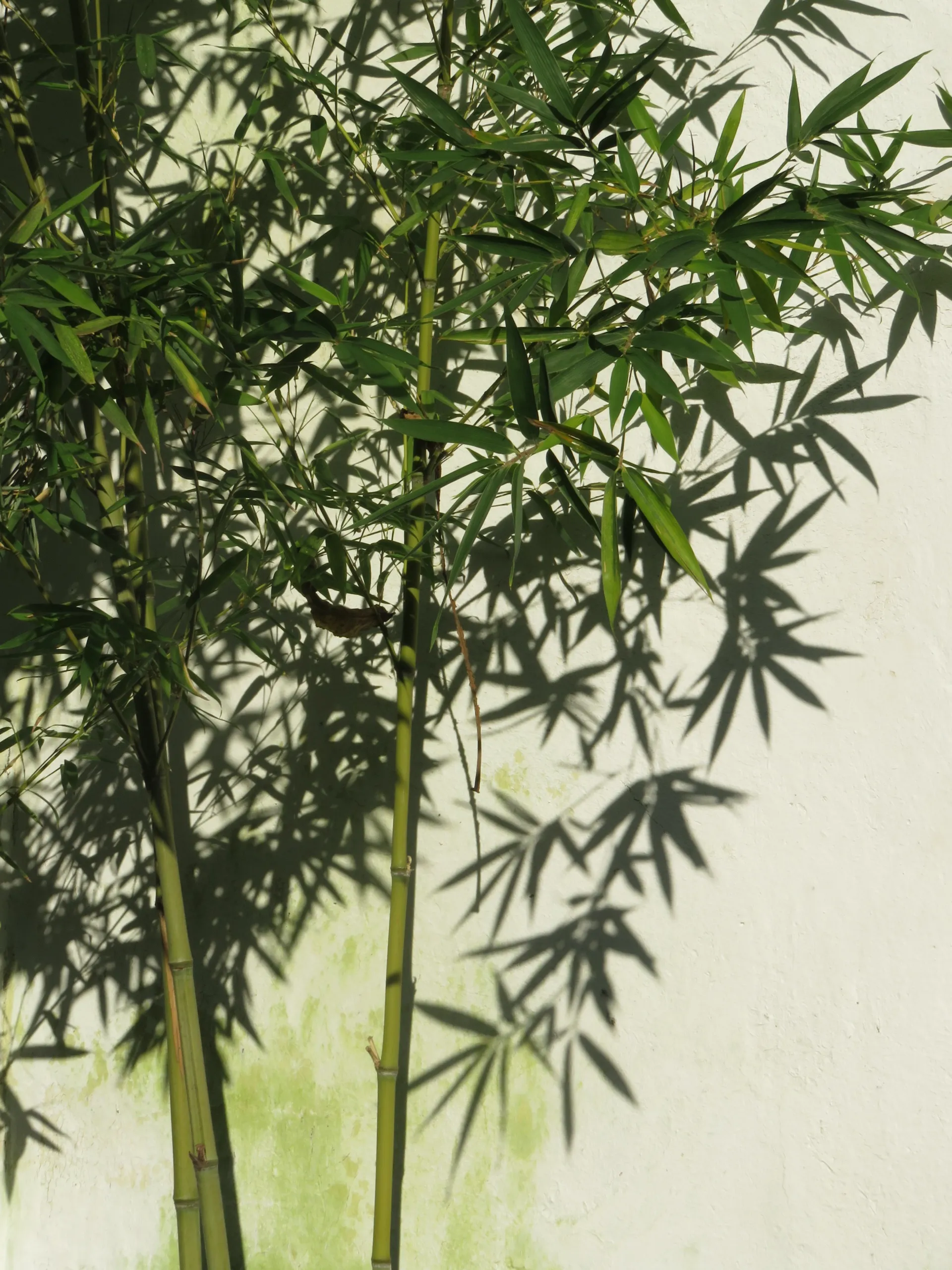 苏州 第 3 张