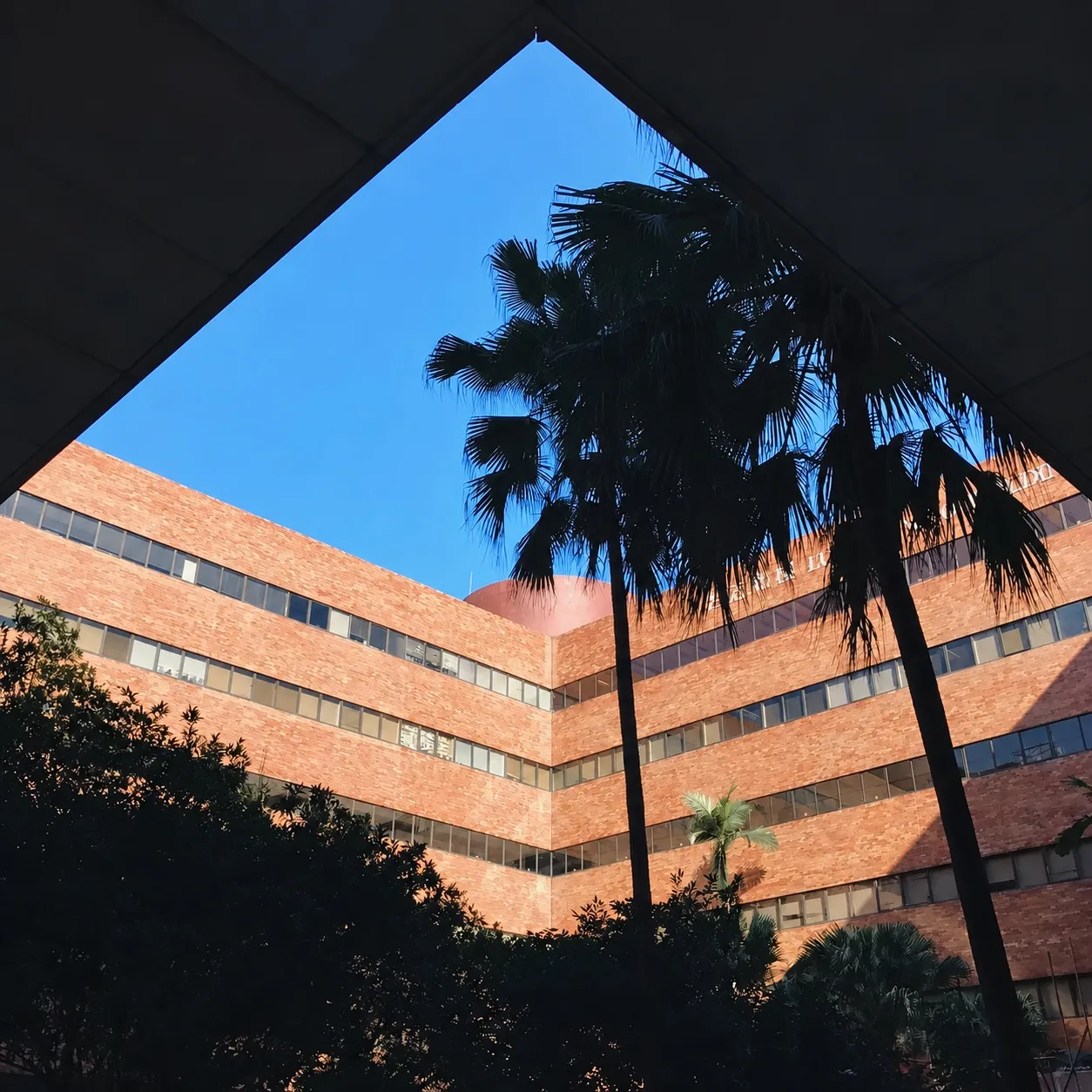 香港 第 1 张