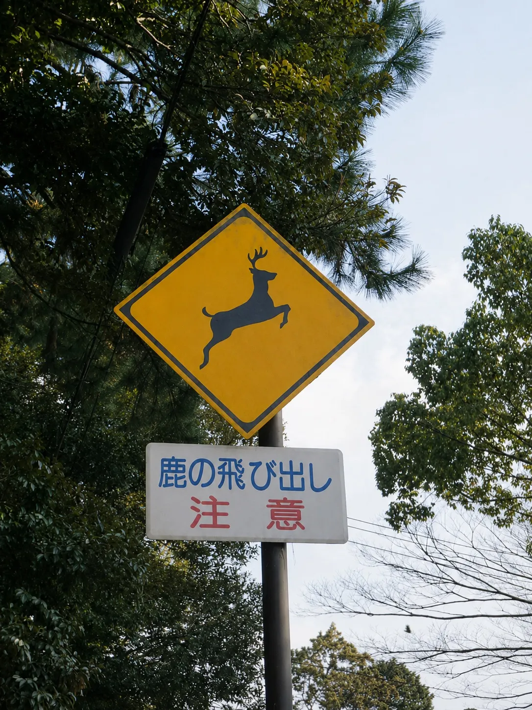 日本 第 1 张