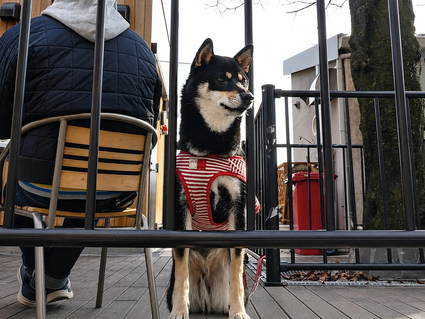 日本 第 2 张