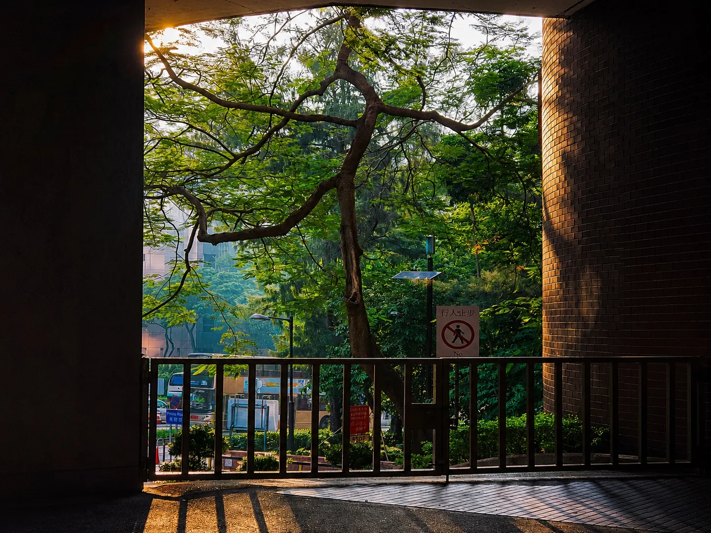 香港 第 4 张