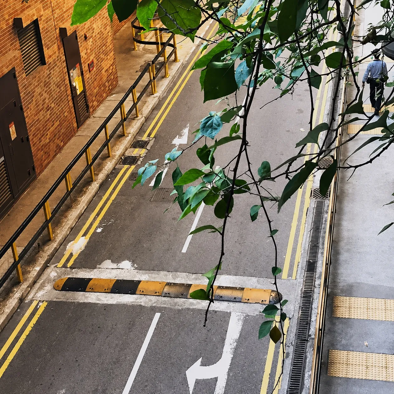 香港 第 5 张