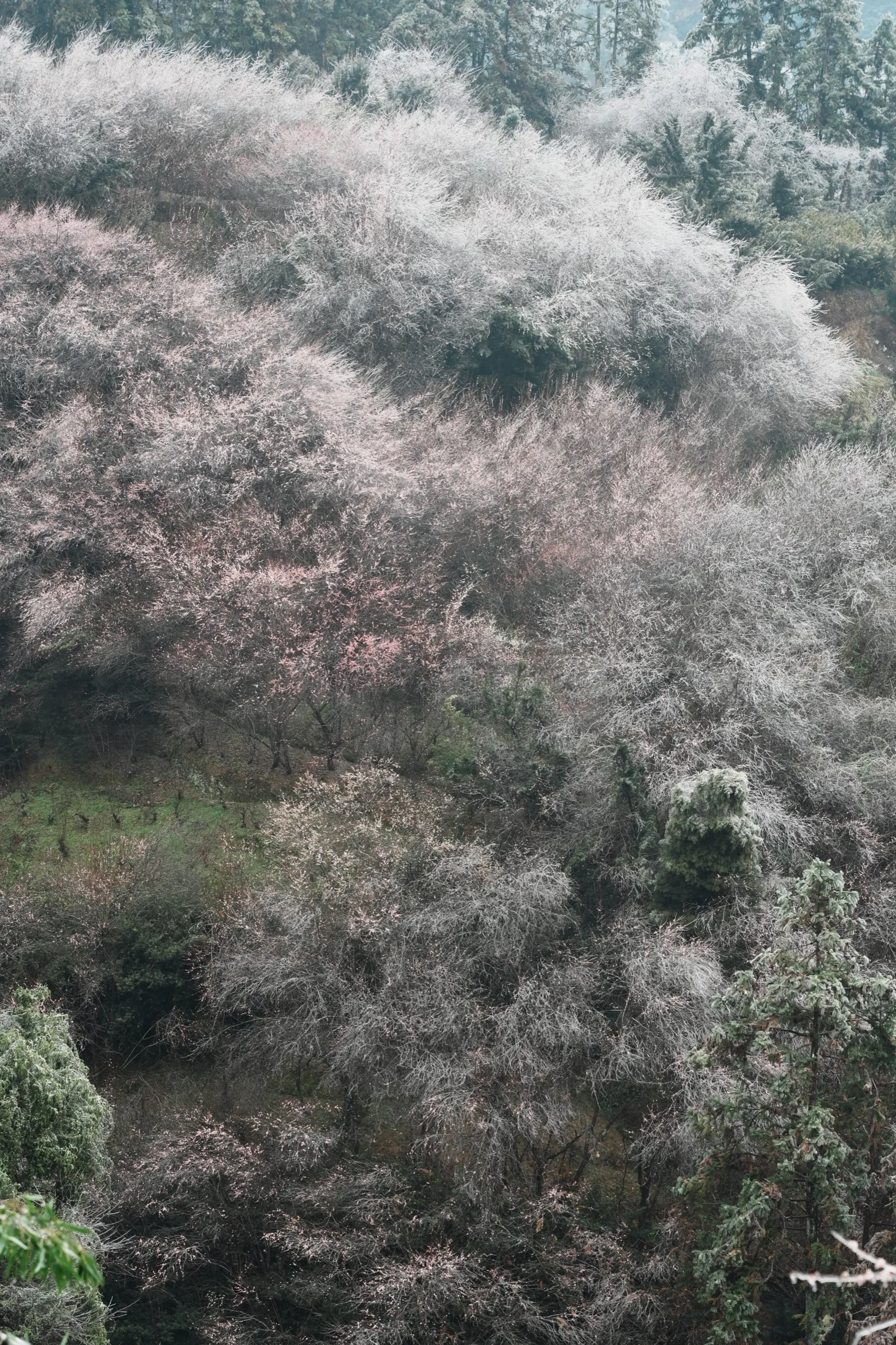 新安江 第 1 张
