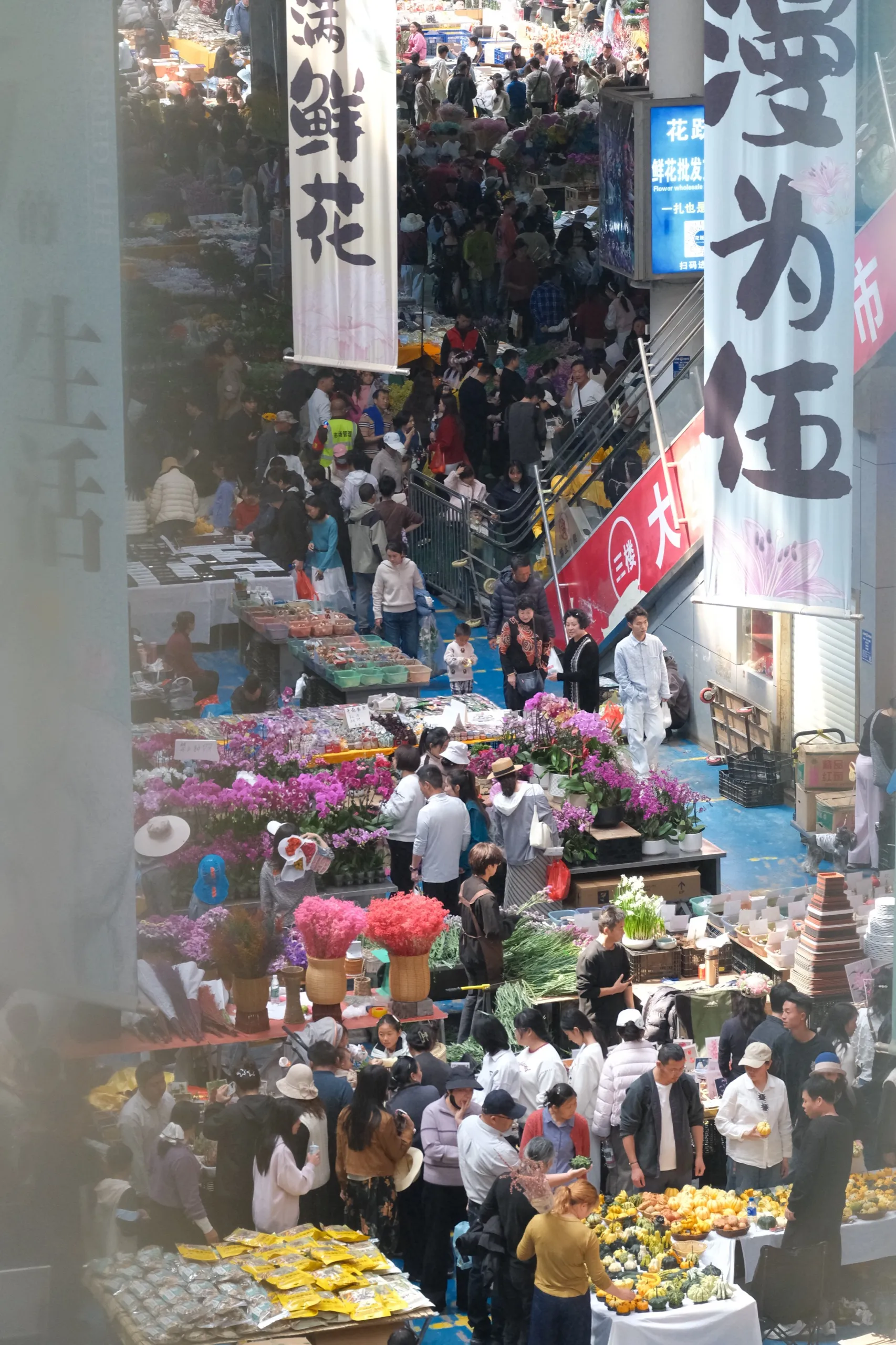 云南 第 11 张
