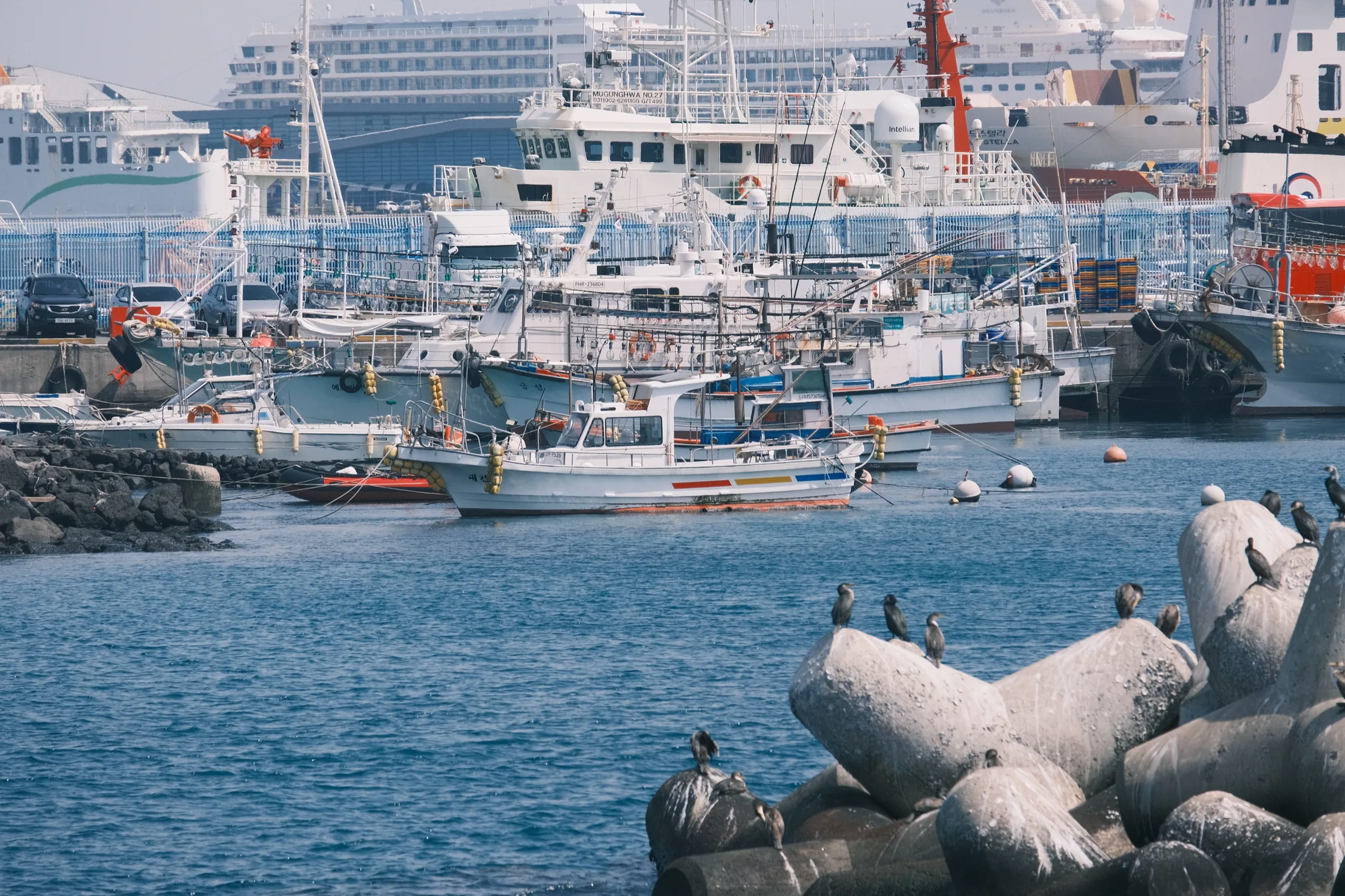 济州岛 第 6 张