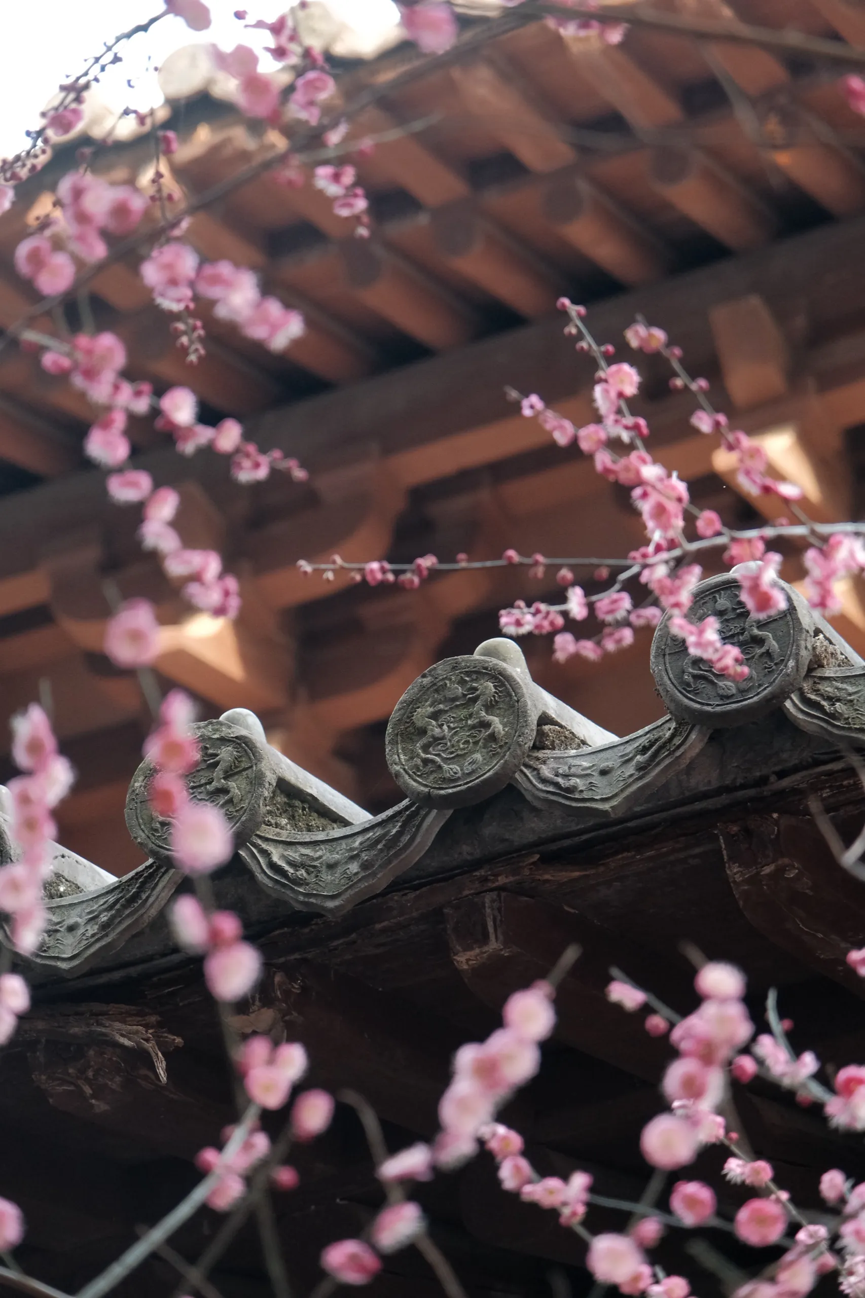 杭州 第 3 张