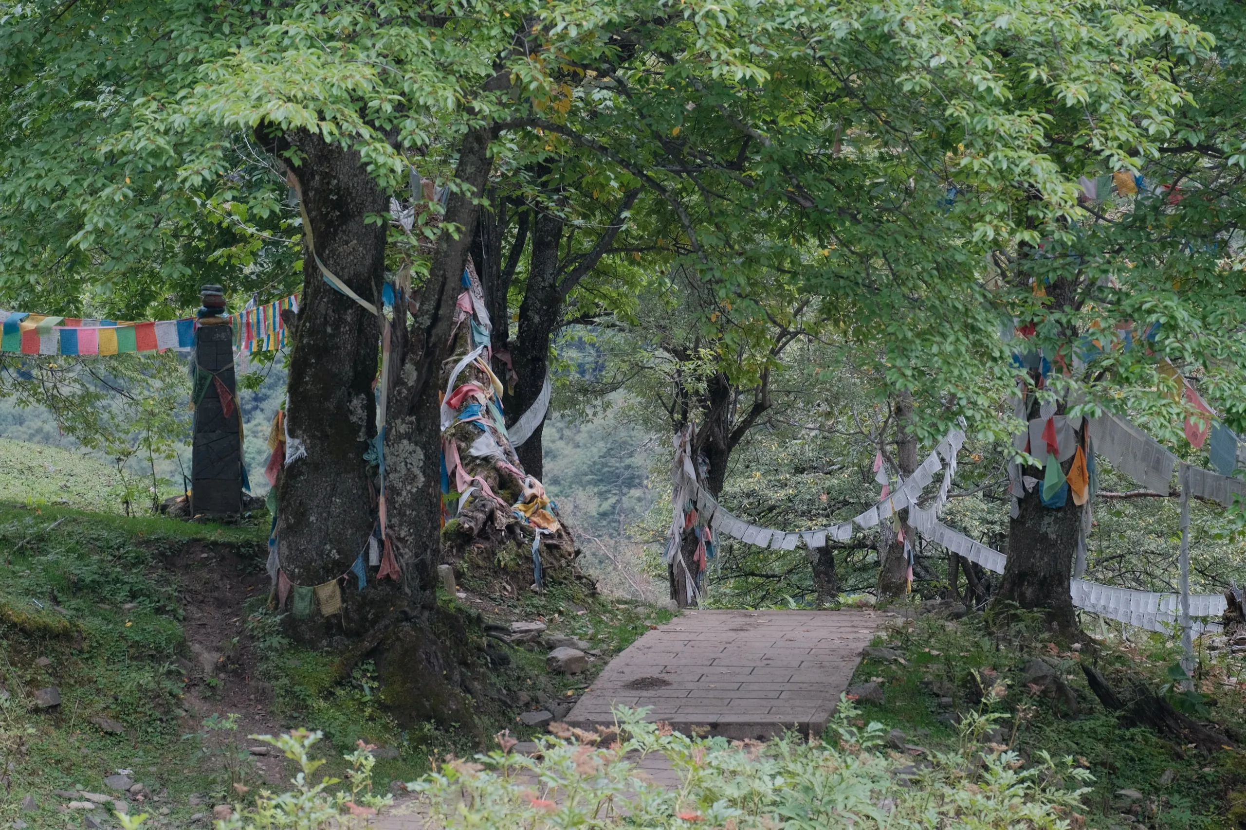 雨崩 第 6 张