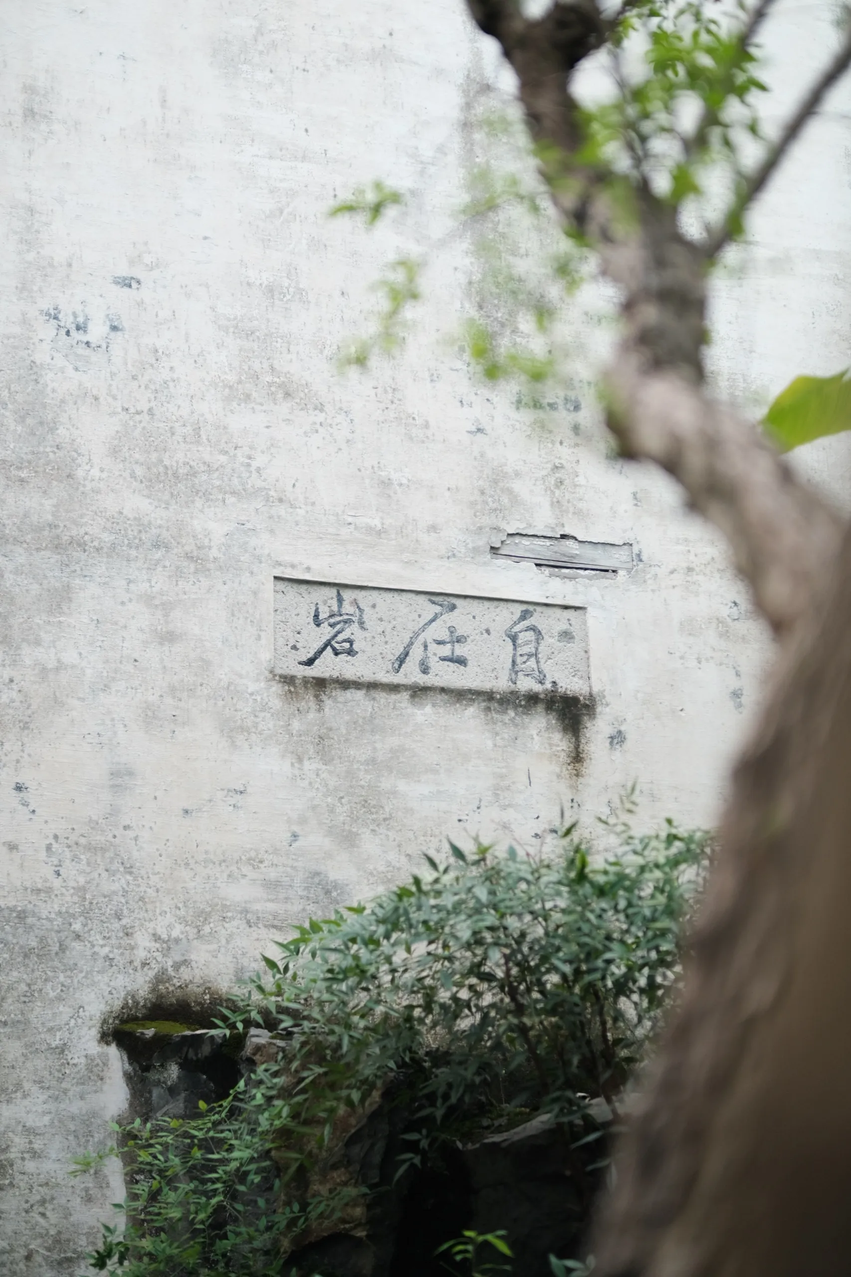 绍兴 第 2 张