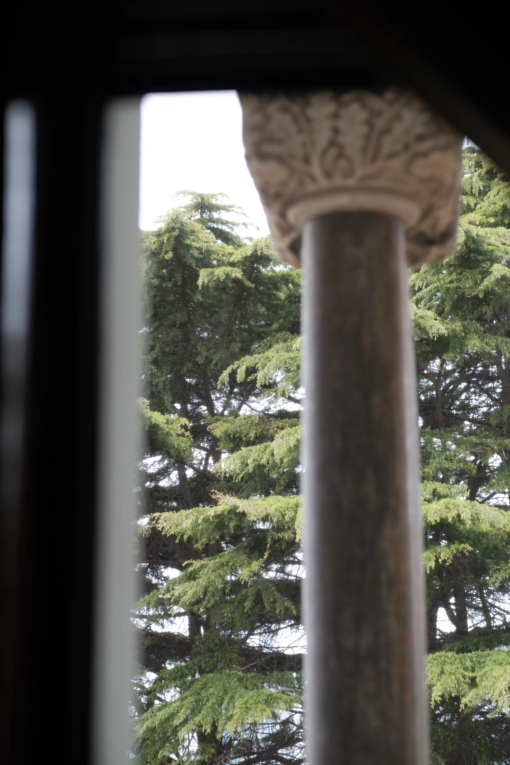 青岛 第 8 张