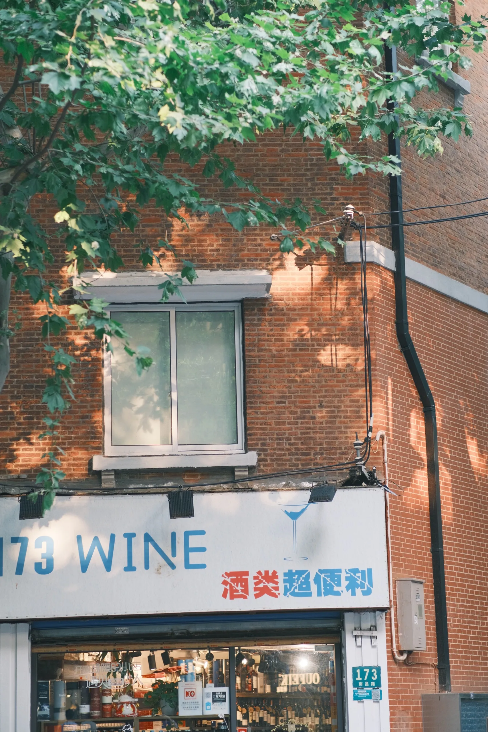 上海 第 8 张