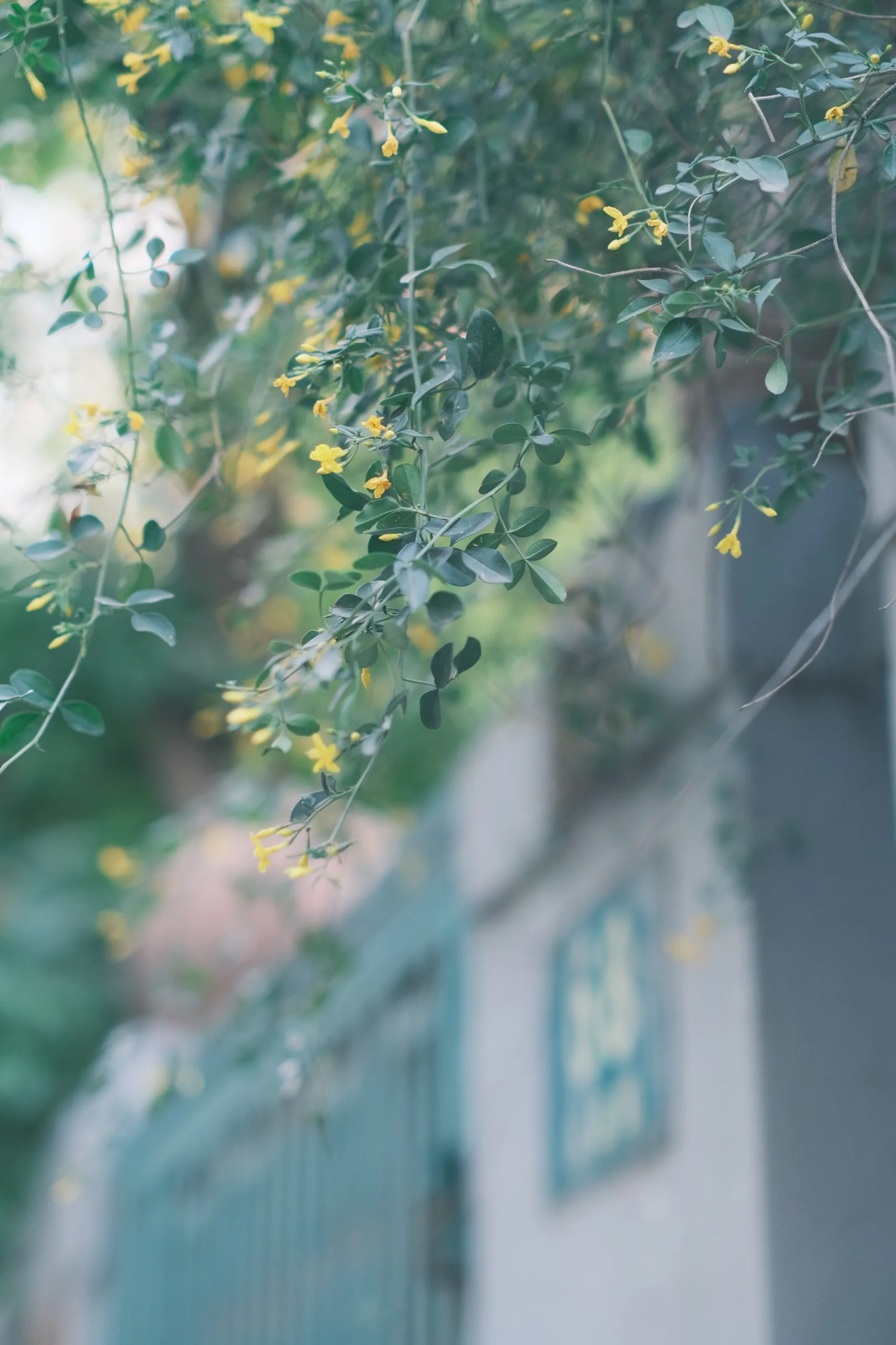 上海 第 10 张
