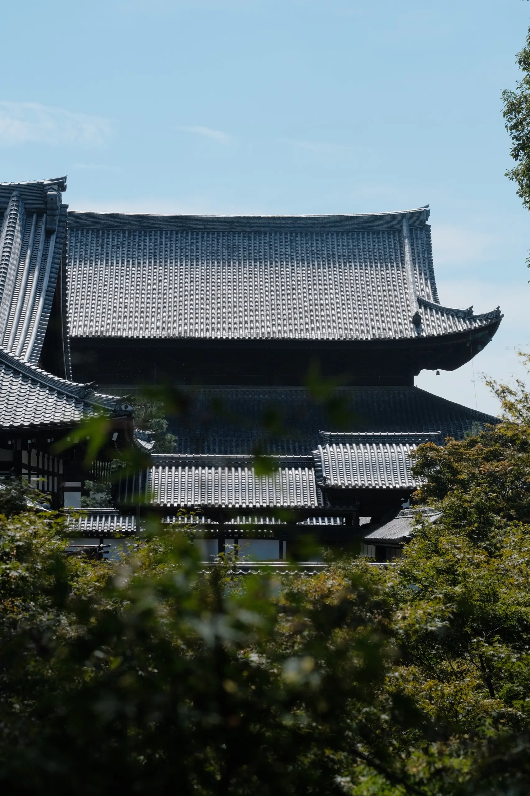 日本 第 14 张