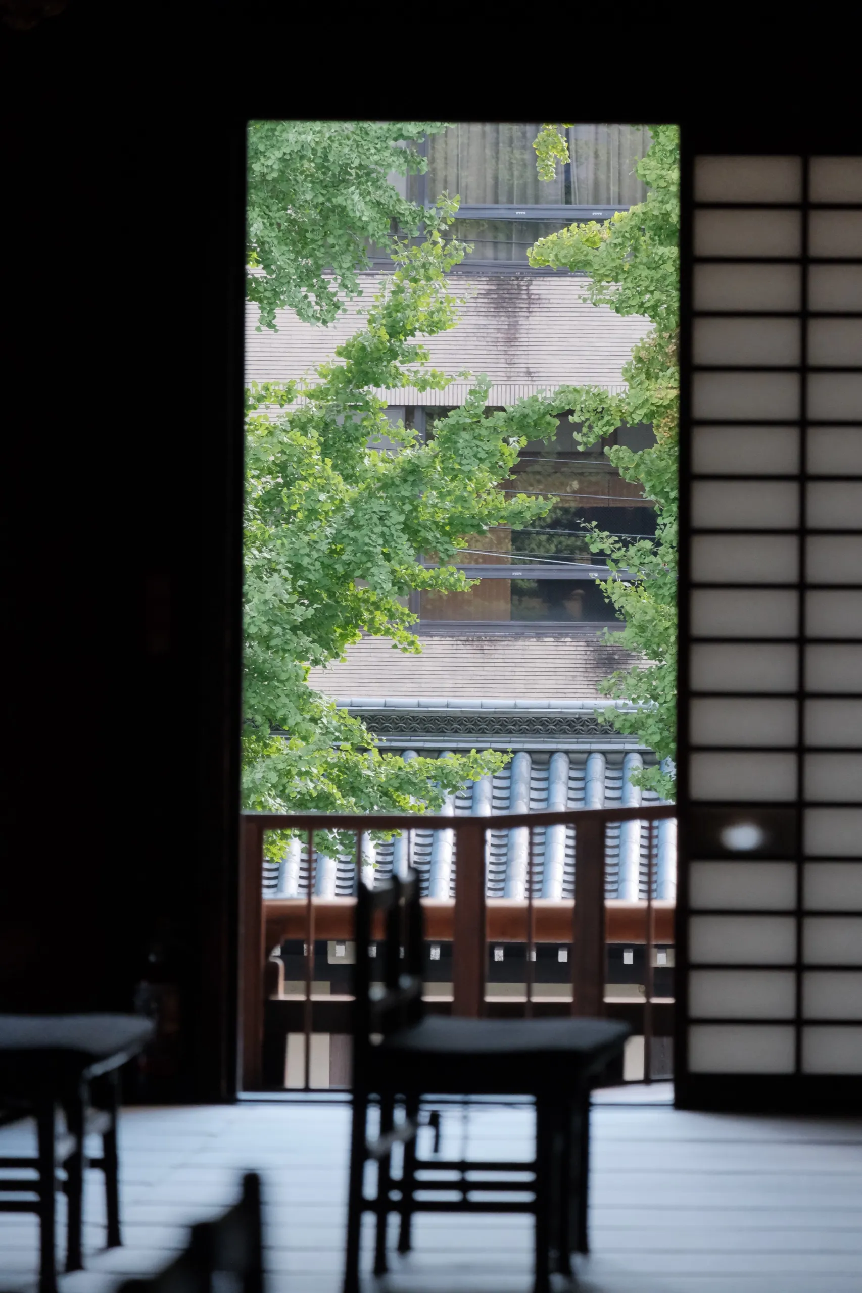 日本 第 15 张