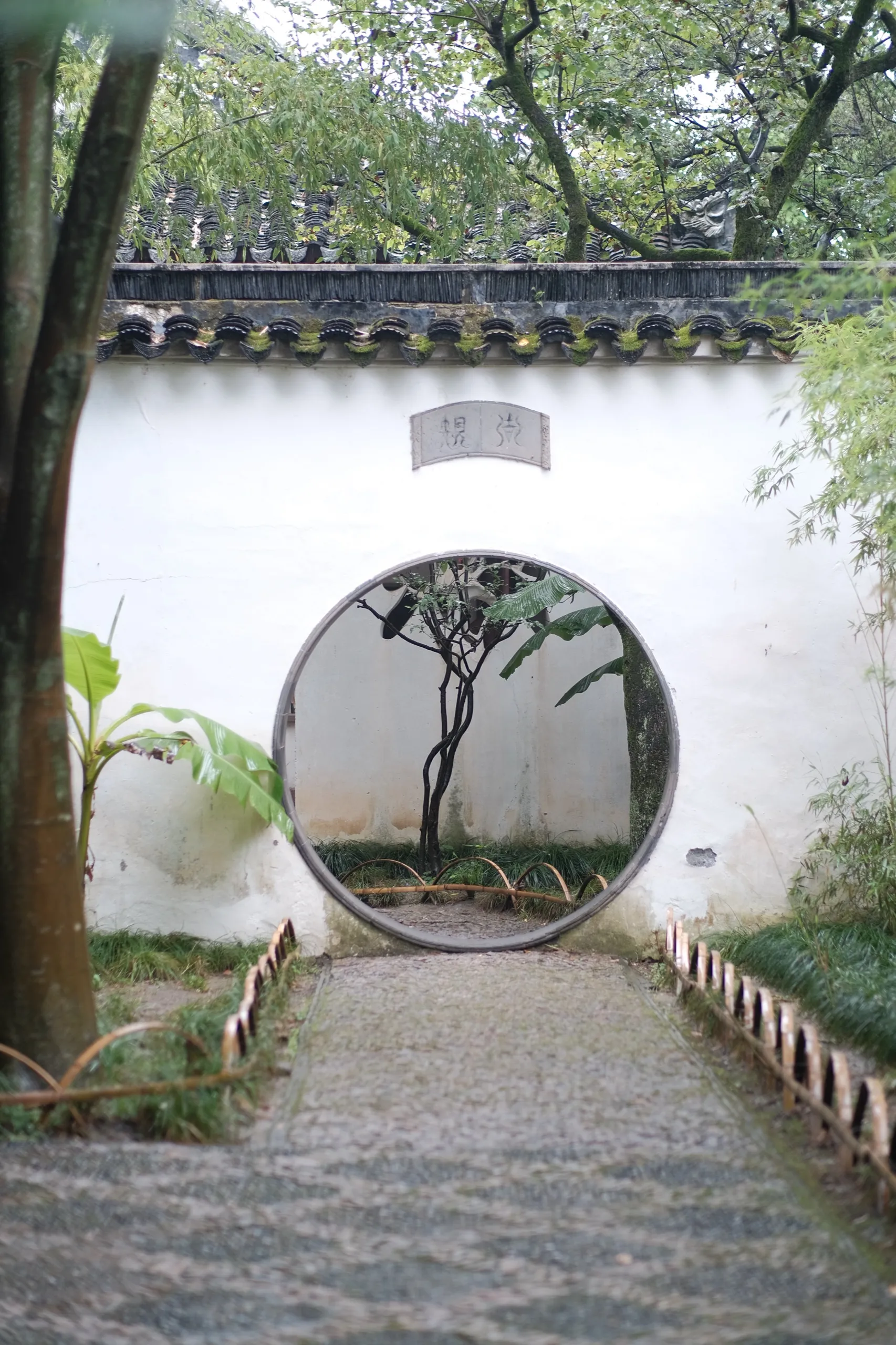苏州 第 5 张