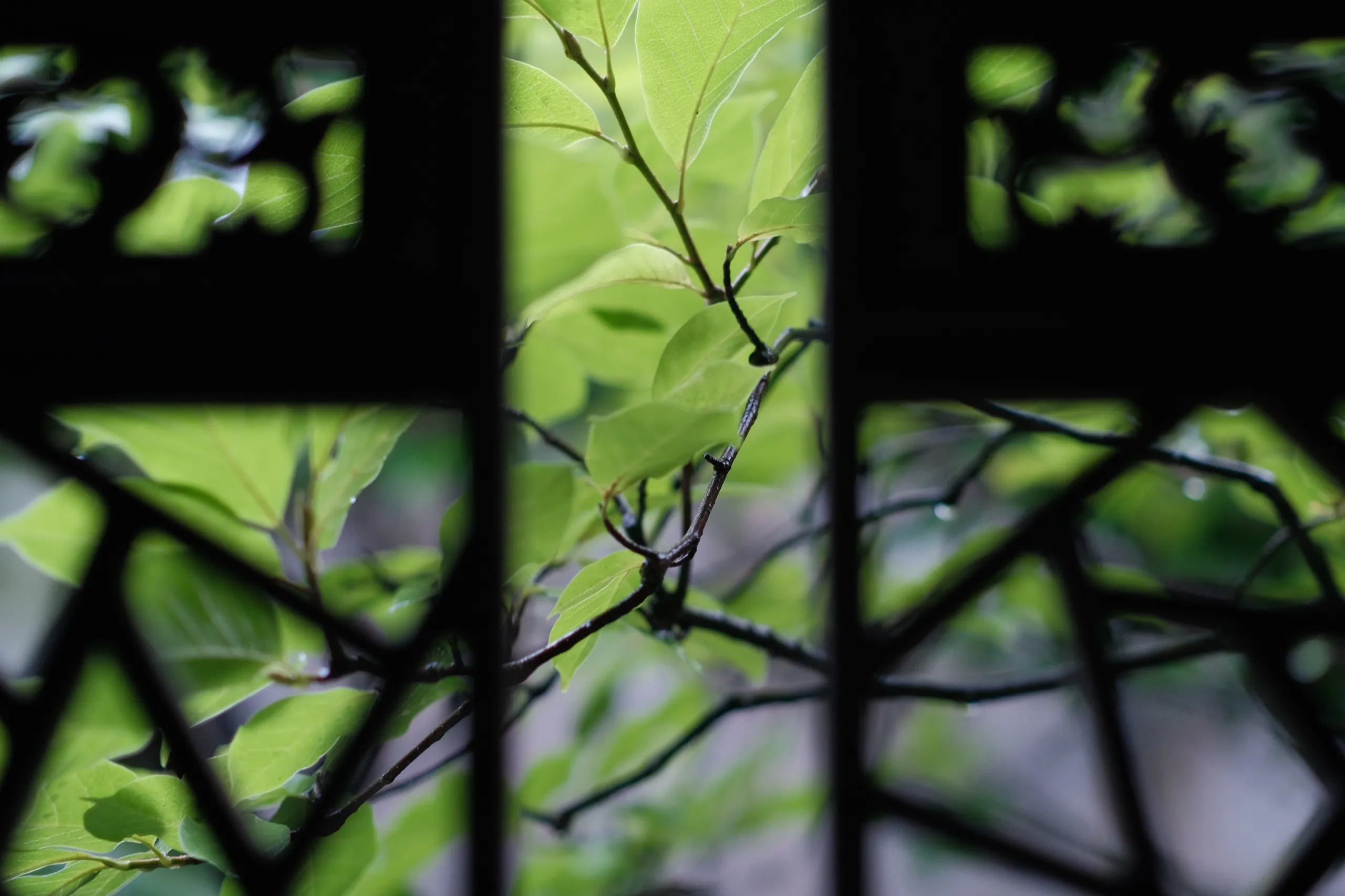 苏州 第 7 张