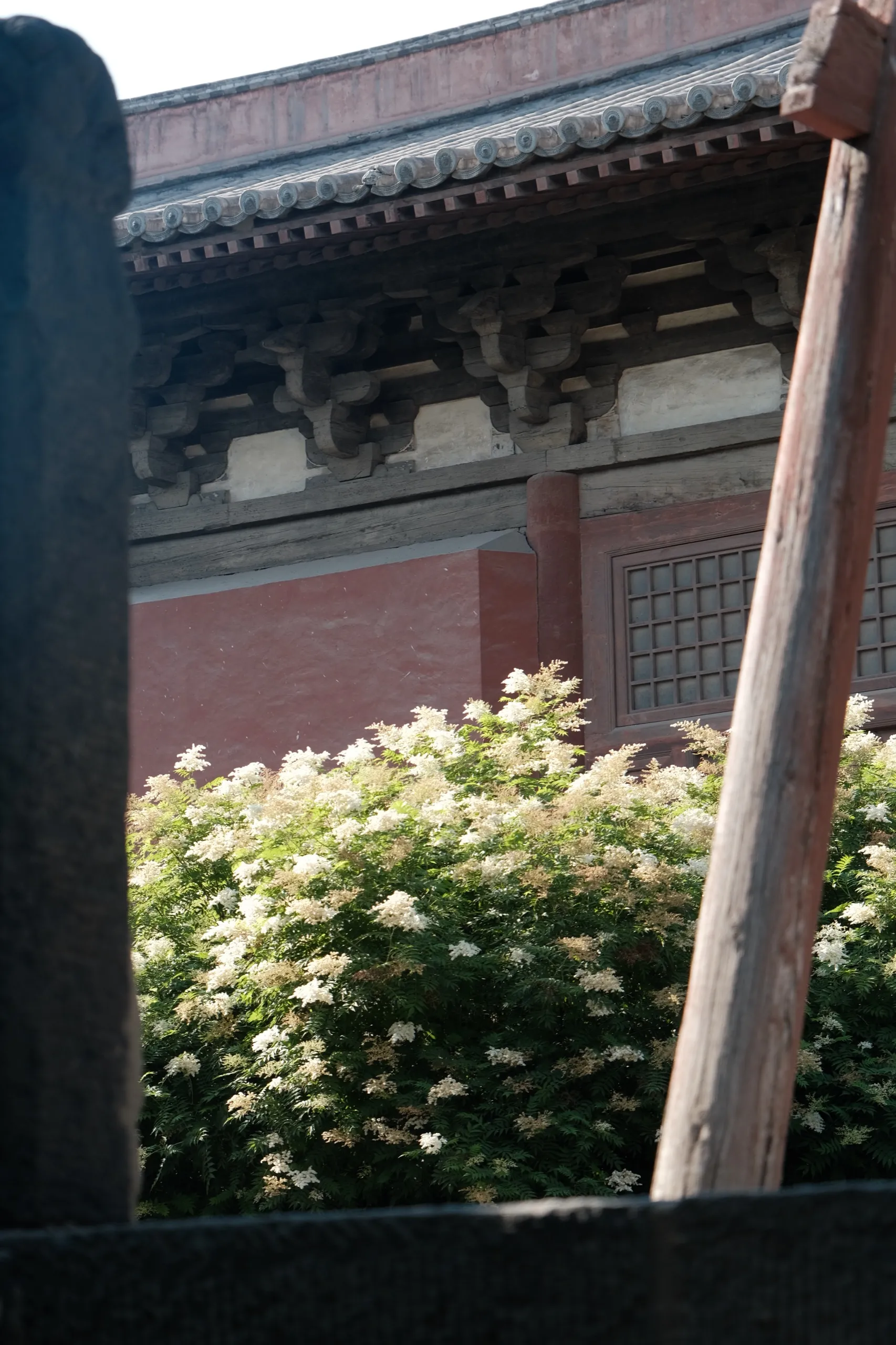 山西 第 13 张