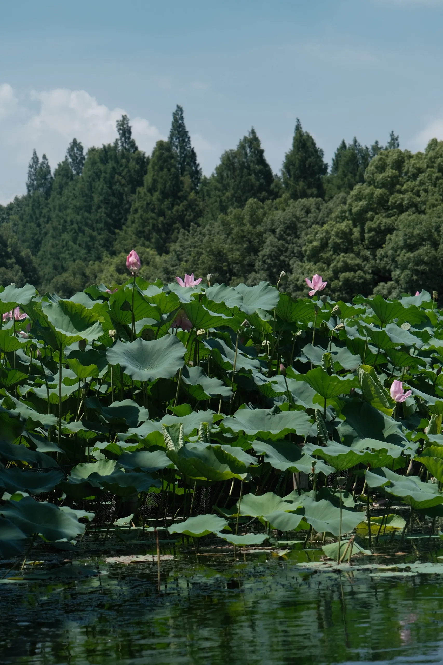 杭州 第 2 张
