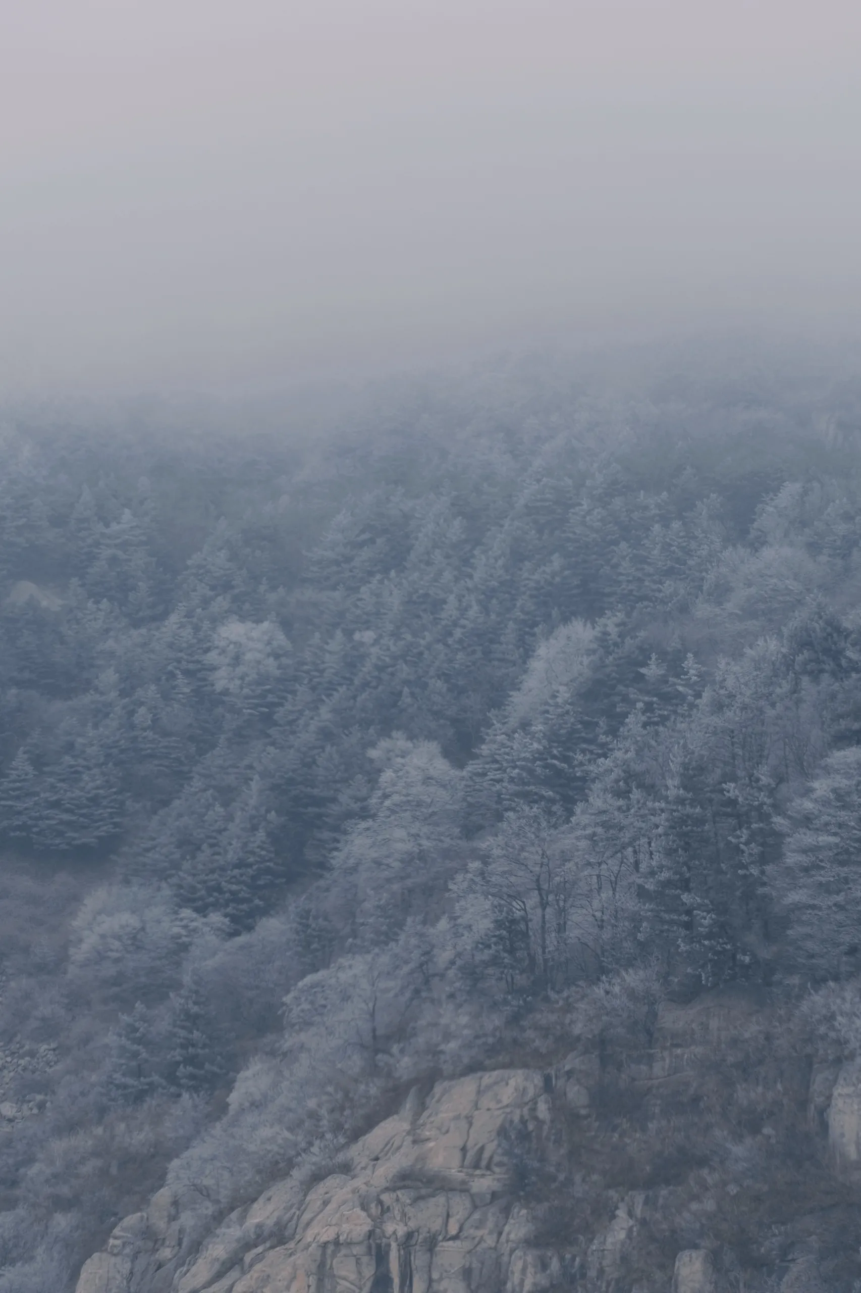 泰山 第 5 张
