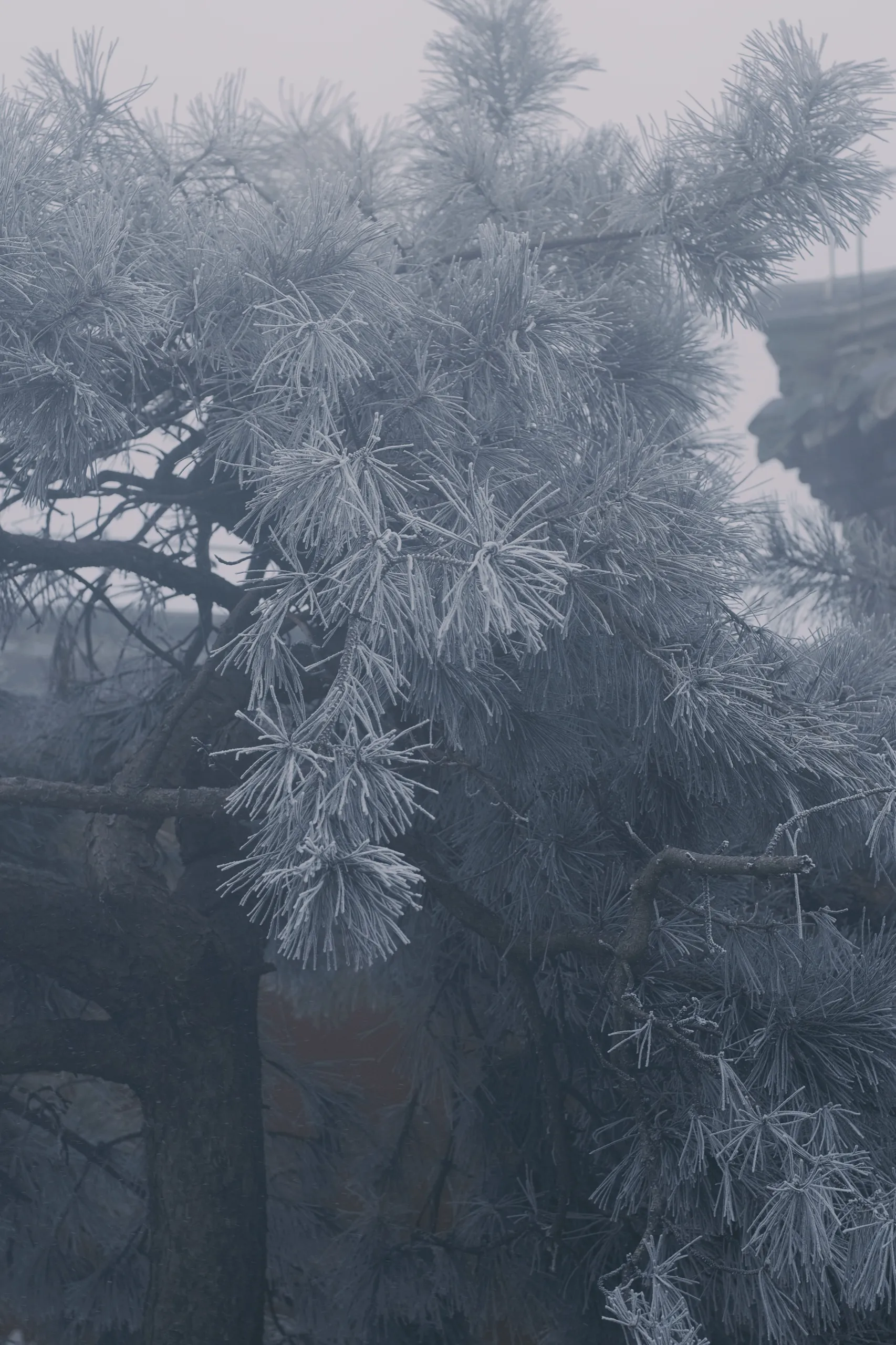 泰山 第 7 张