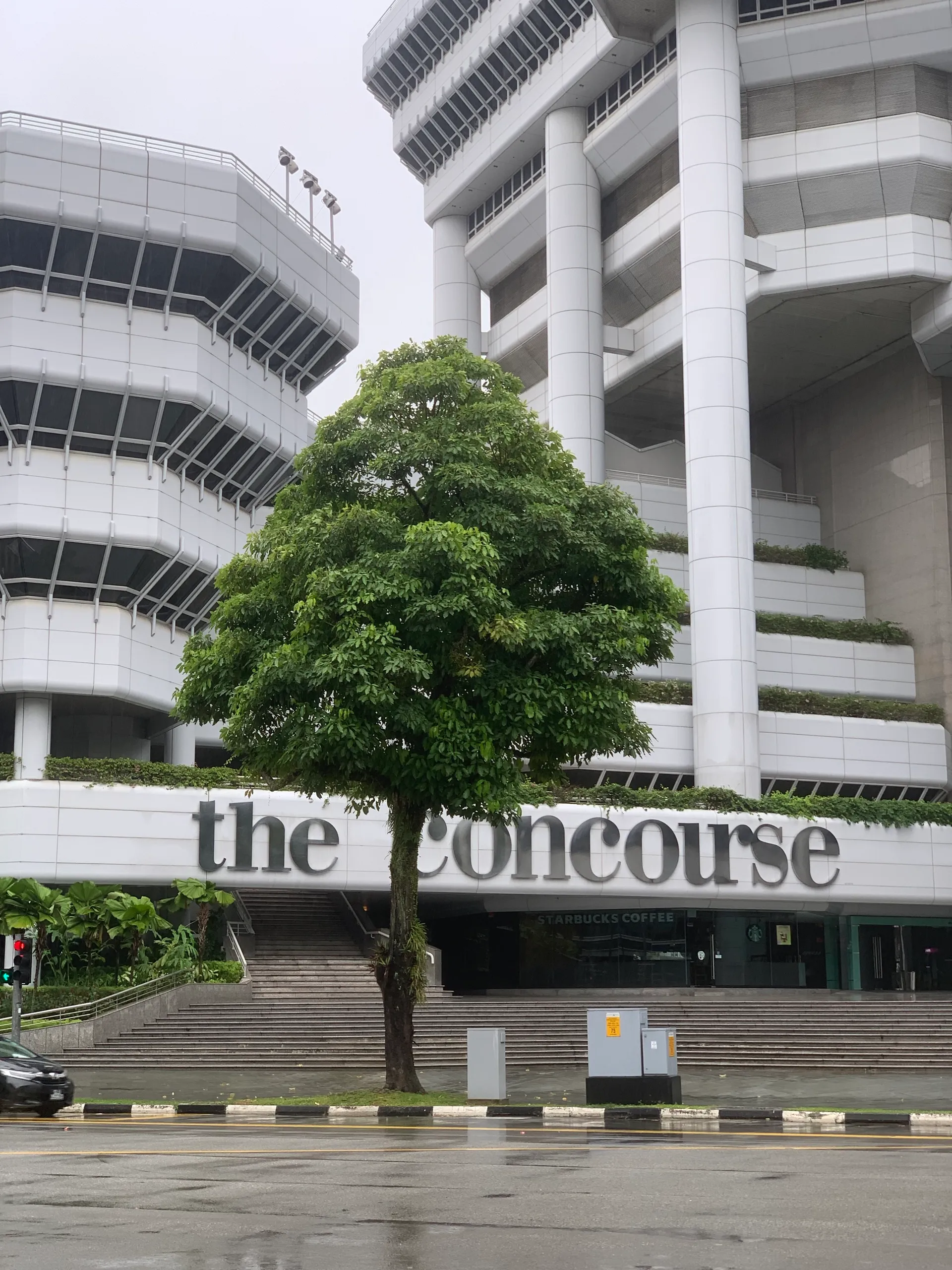 新加坡 第 5 张
