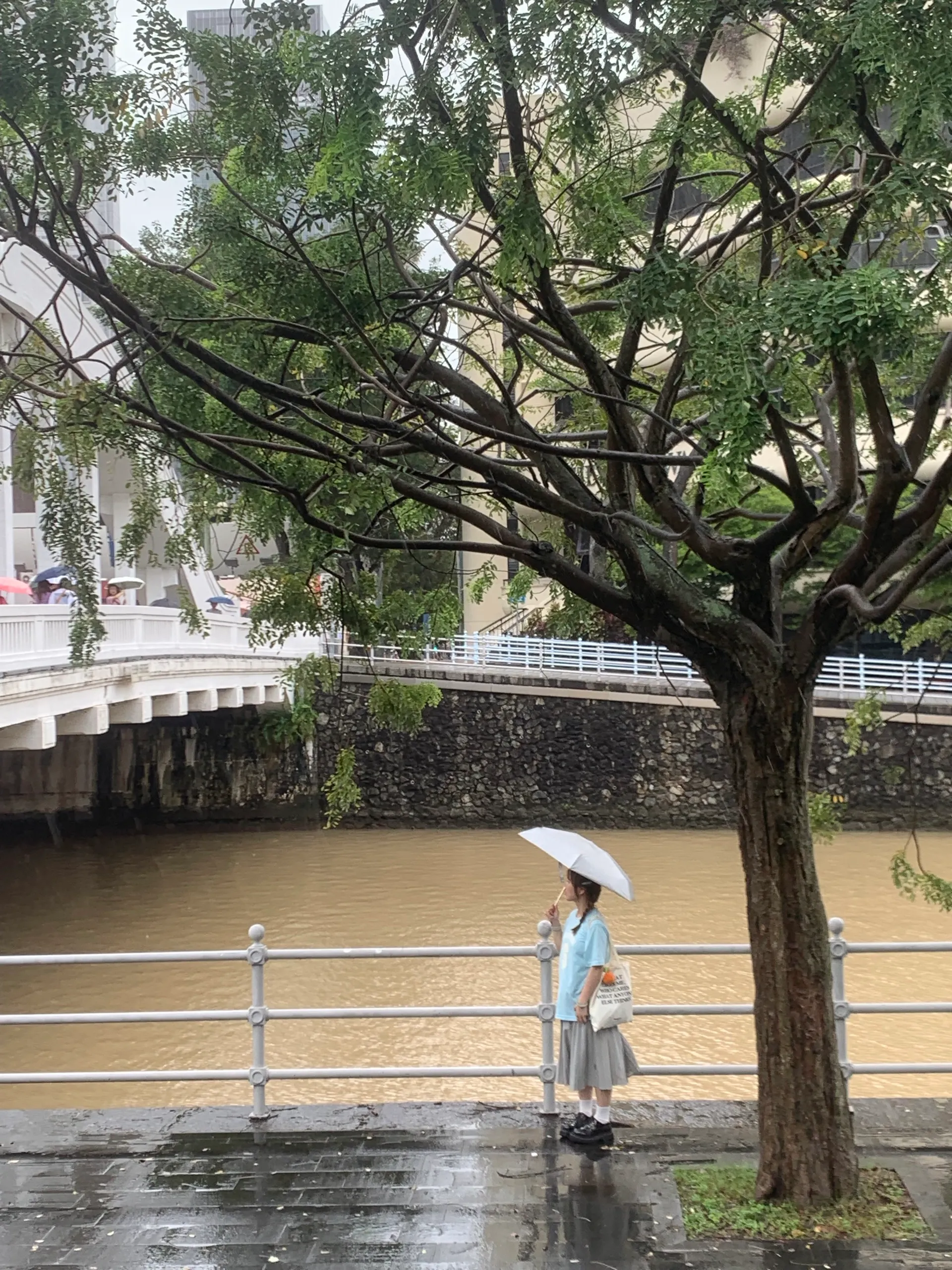 新加坡 第 6 张