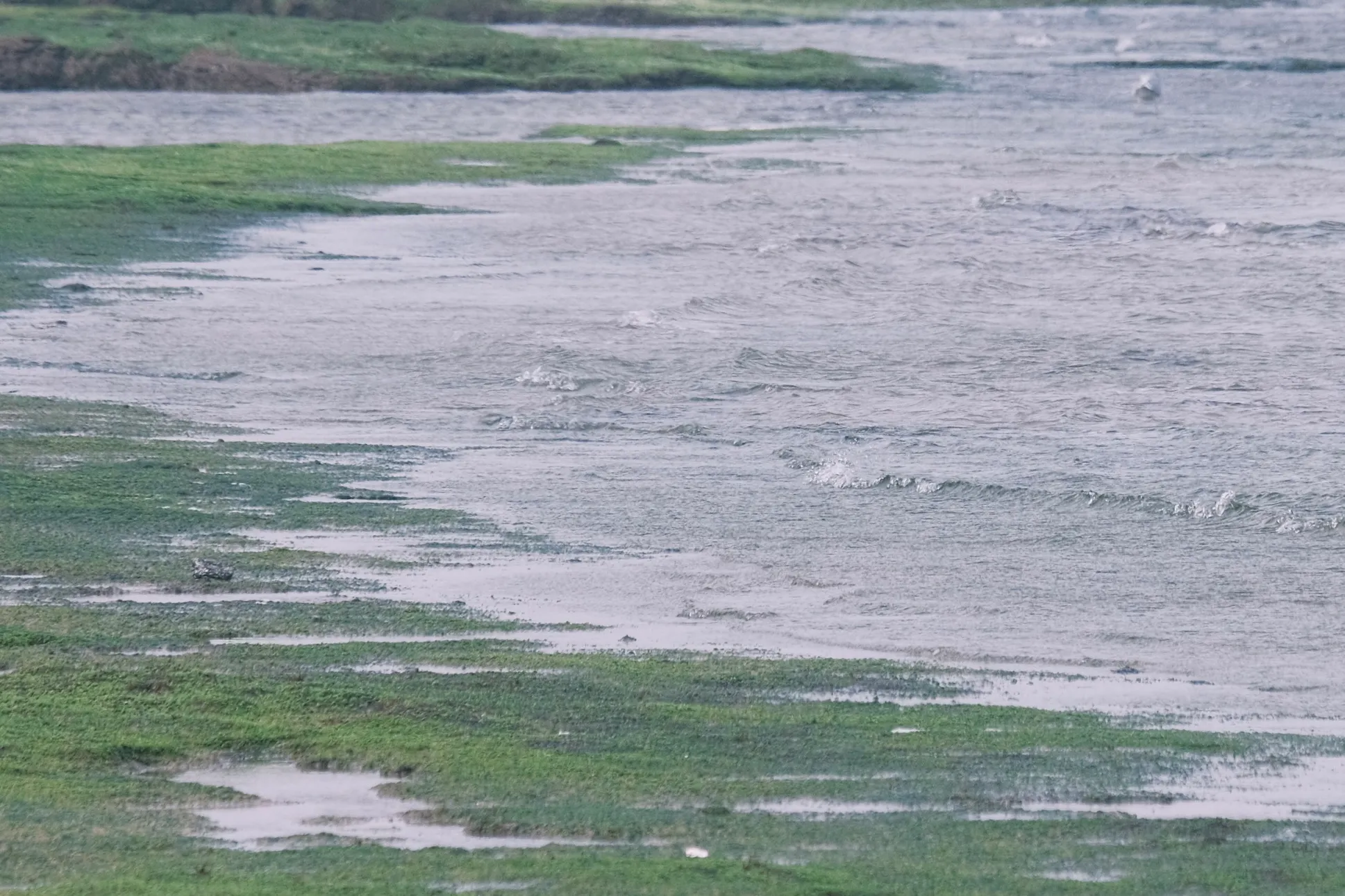 济州岛 第 18 张