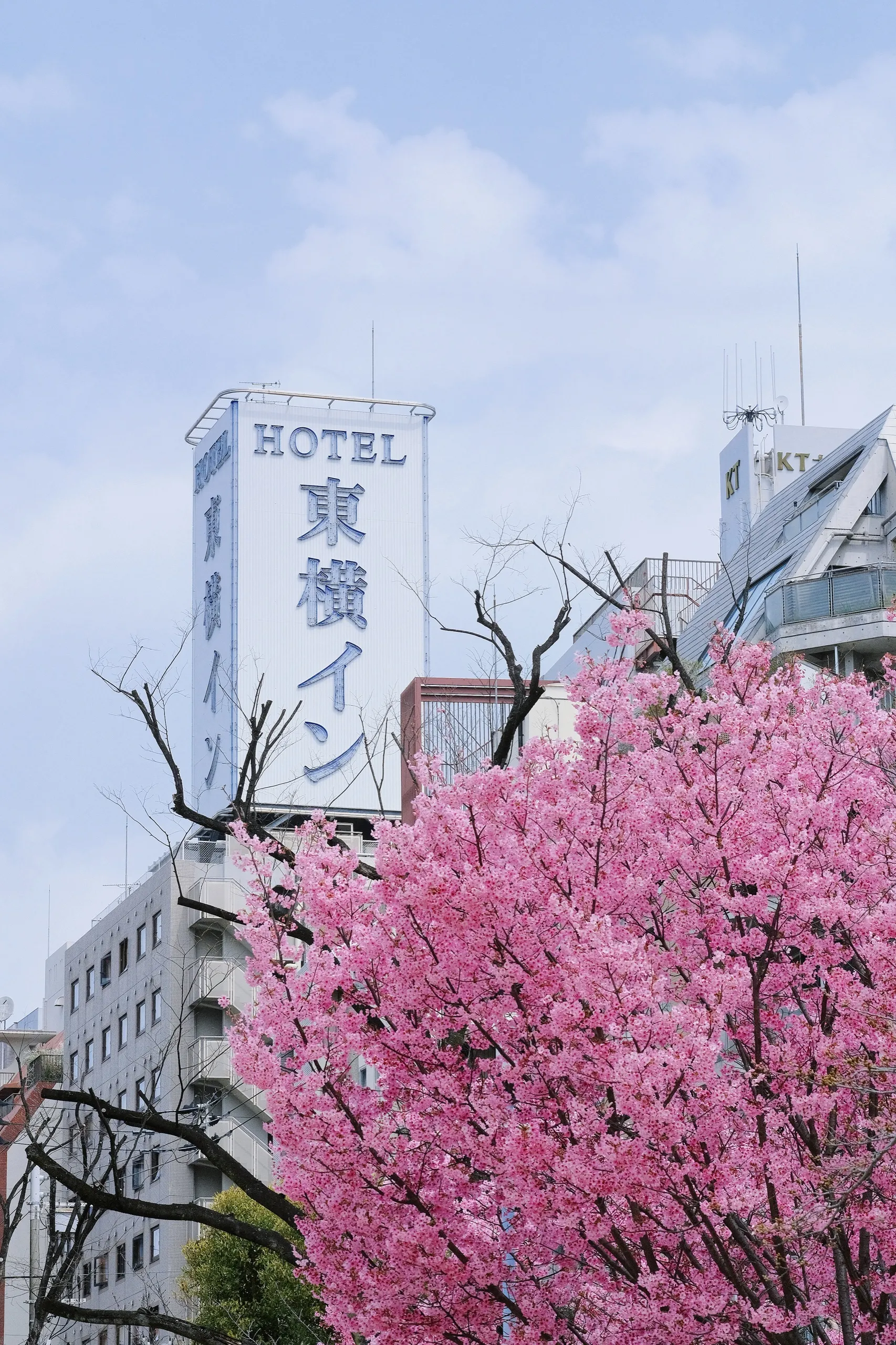 日本 第 2 张
