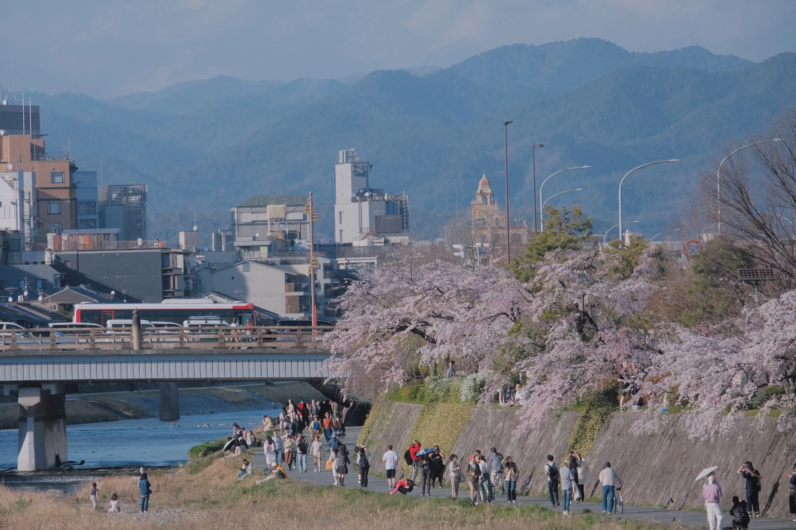 日本 第 16 张
