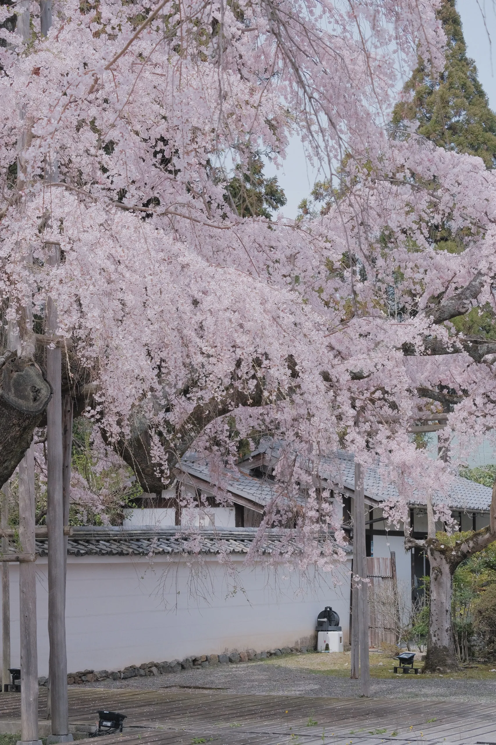日本 第 21 张