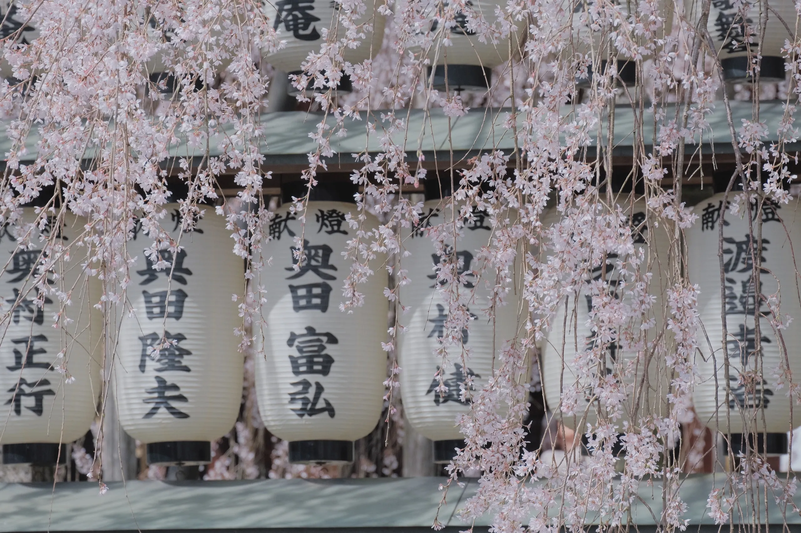 日本 第 28 张