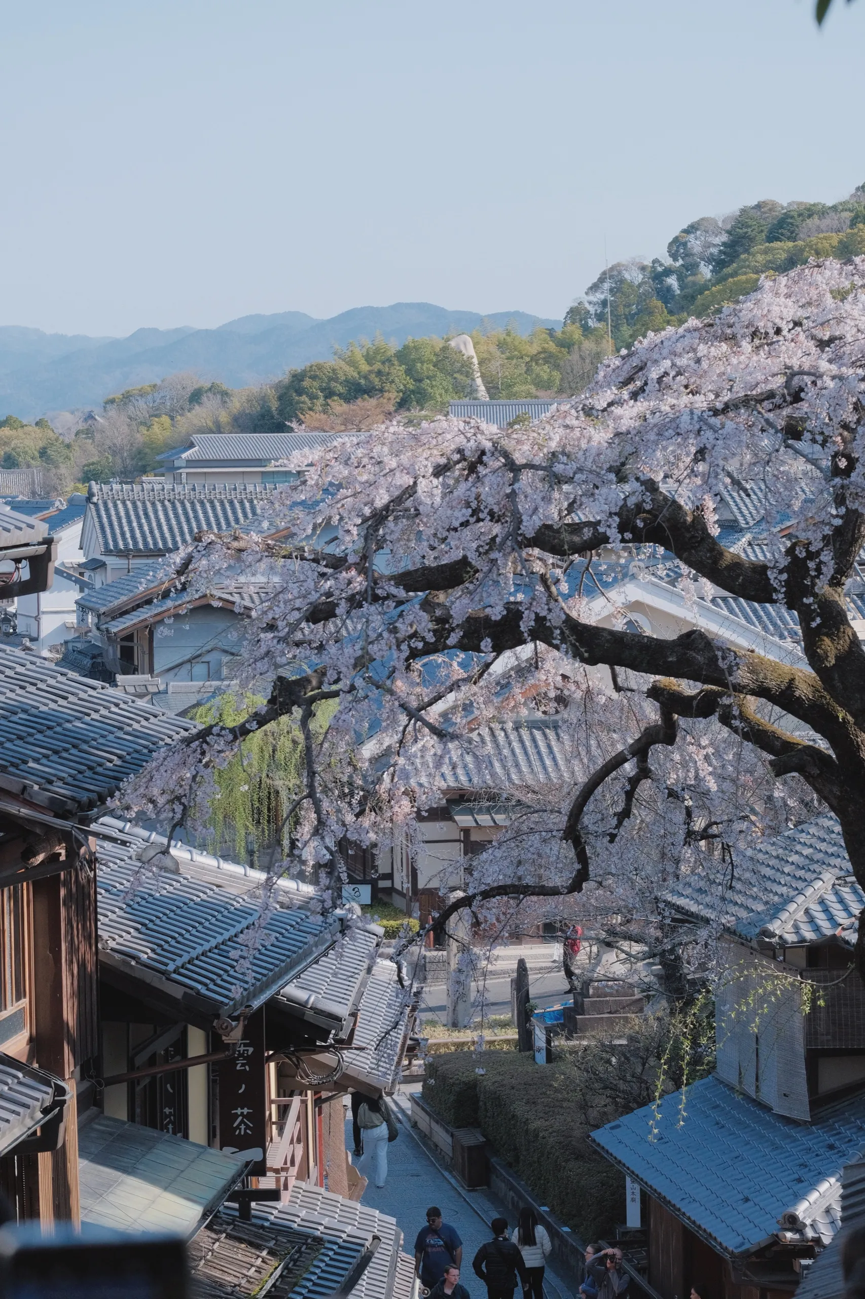 日本 第 31 张