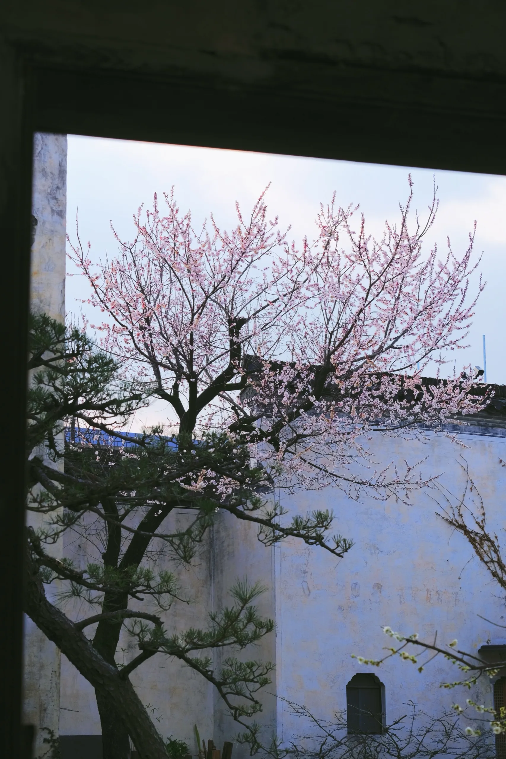 徽州 第 8 张
