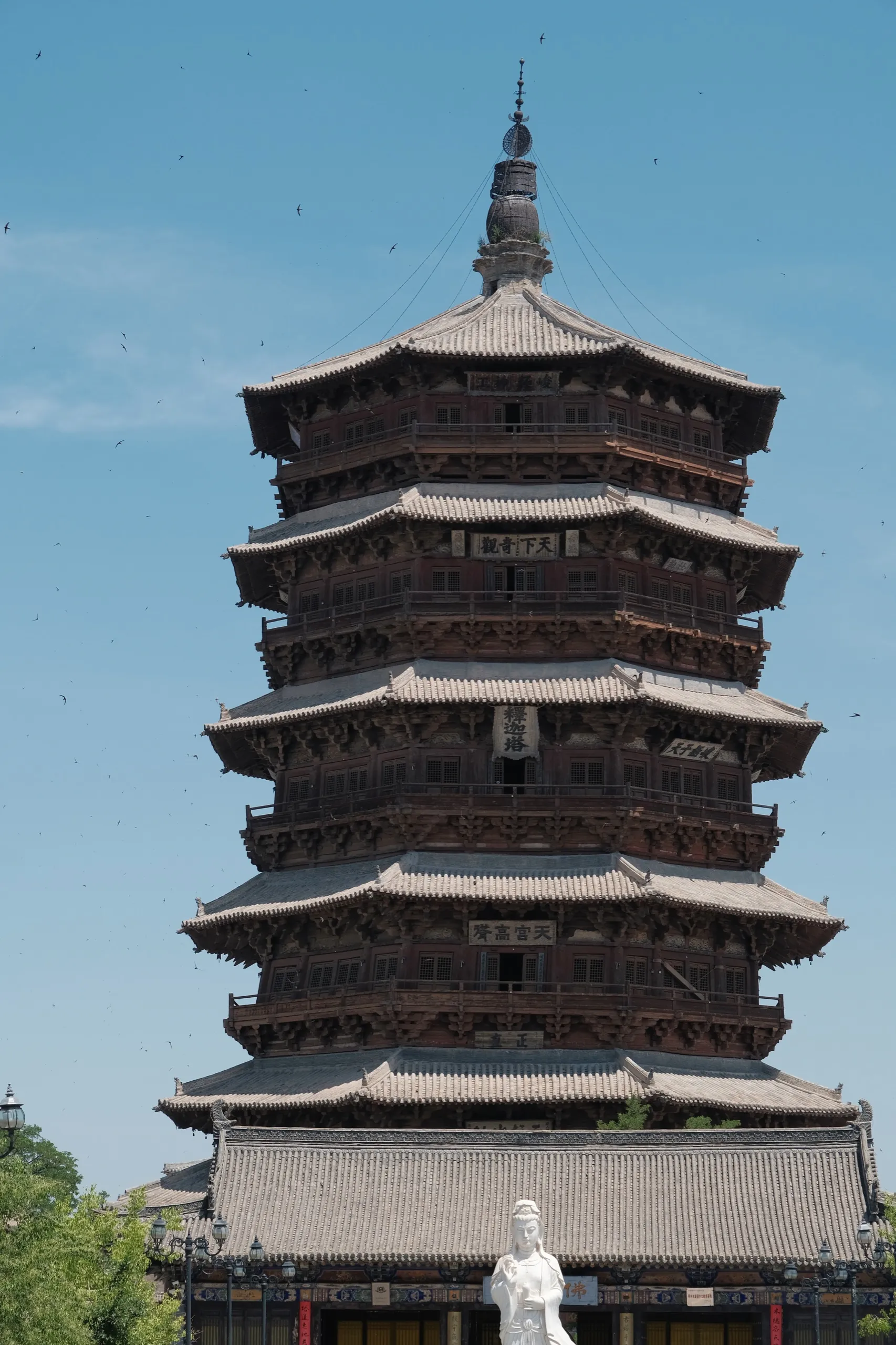 山西 第 8 张