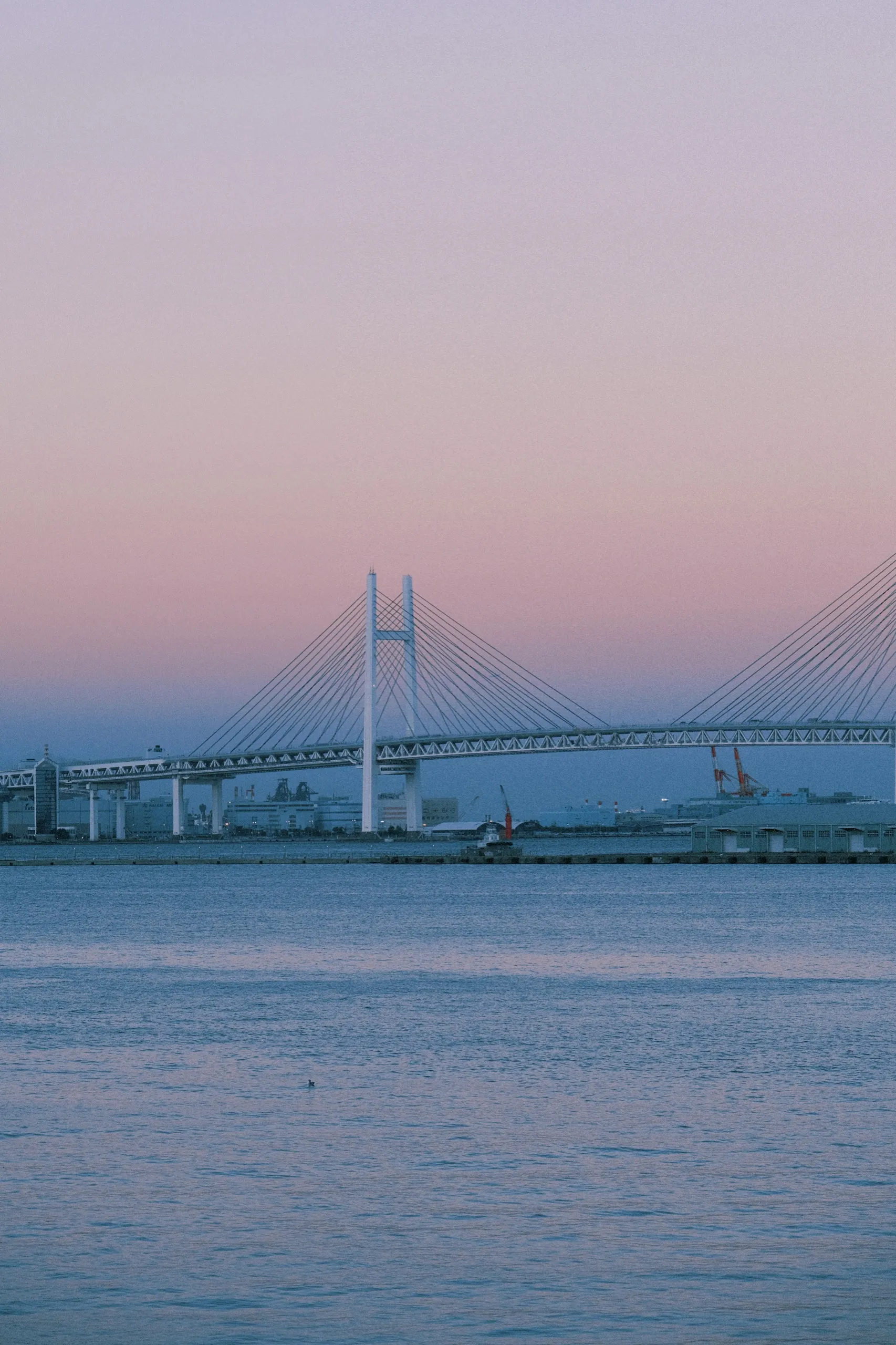 日本 第 9 张