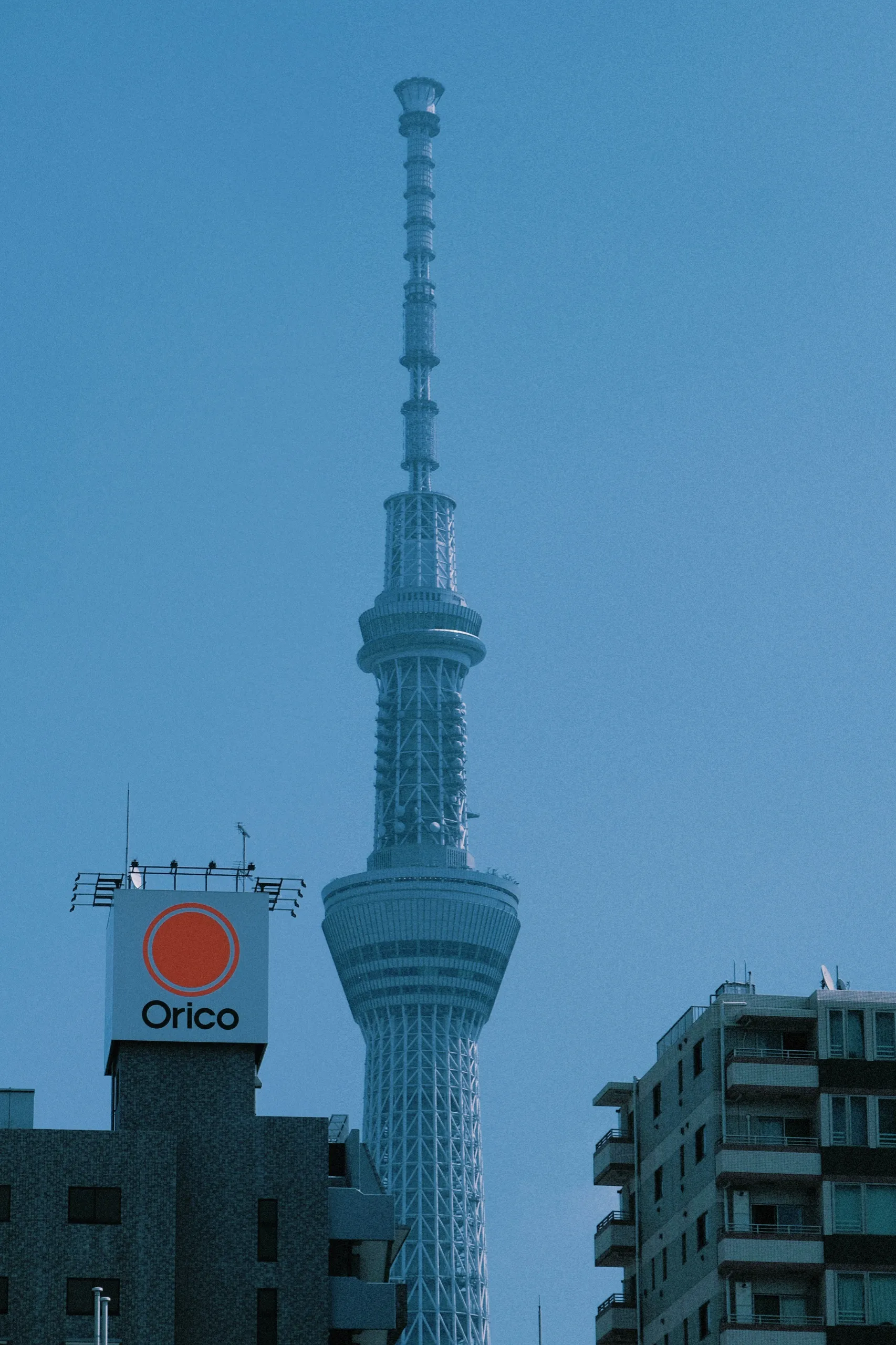 日本 第 14 张