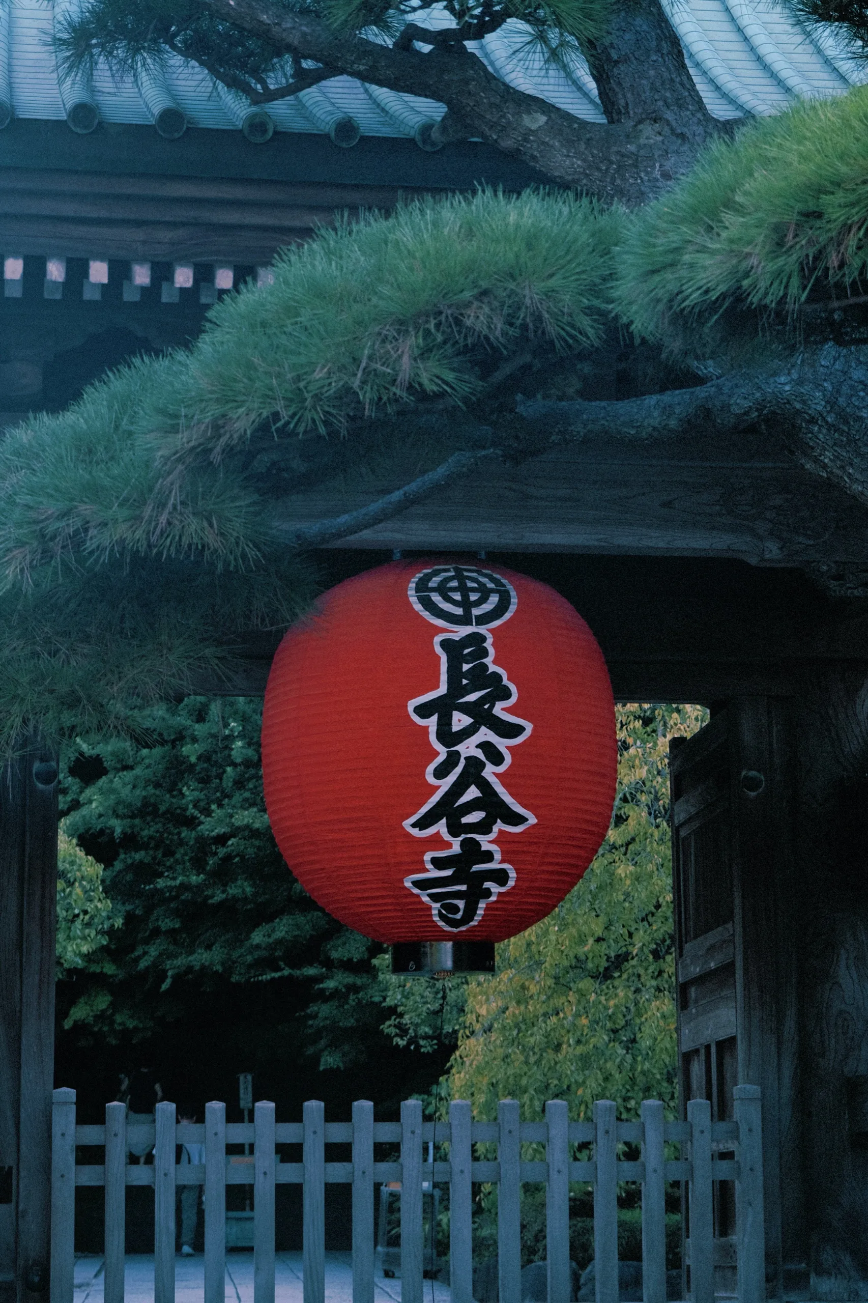 日本 第 22 张