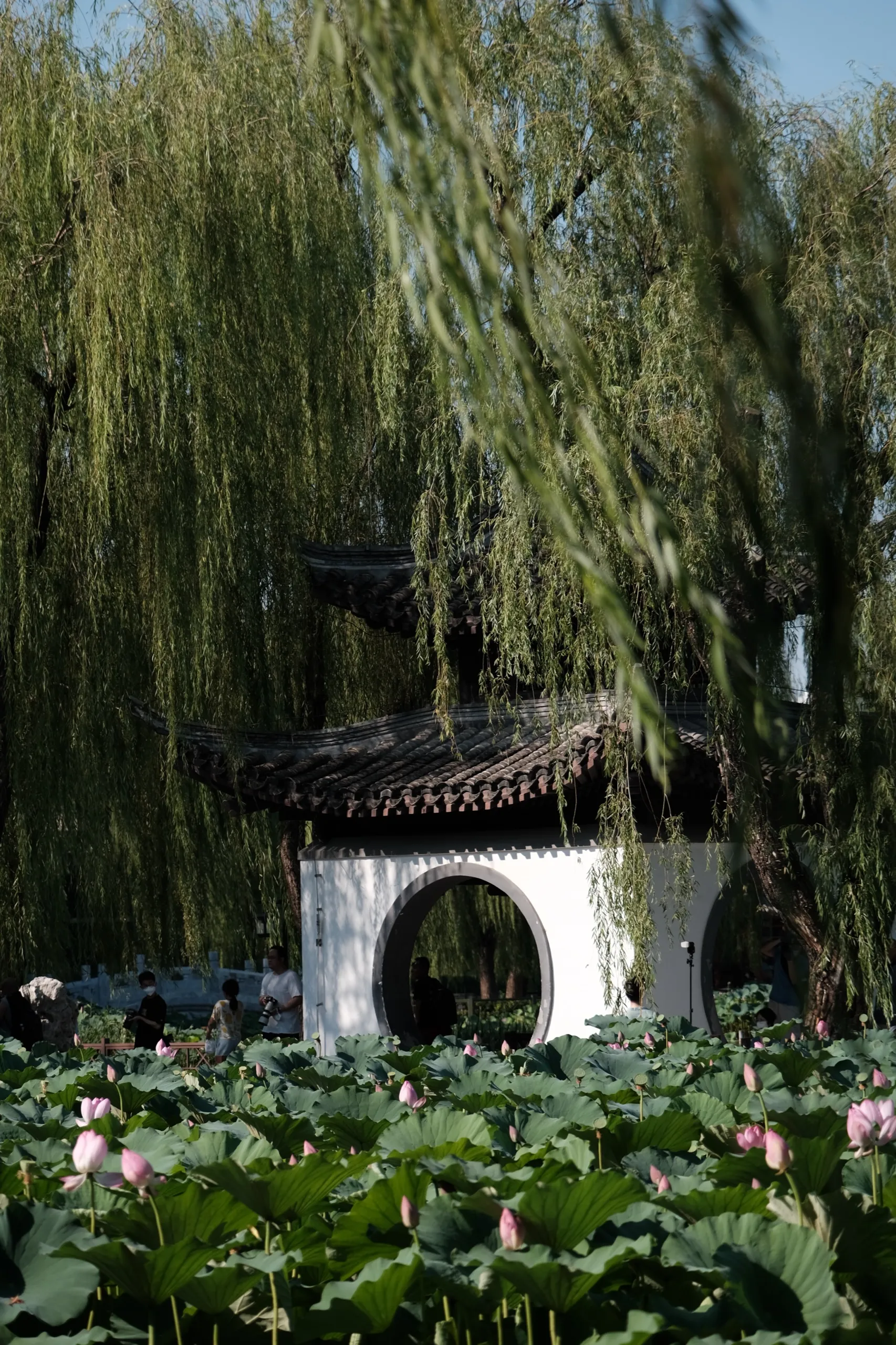 北京