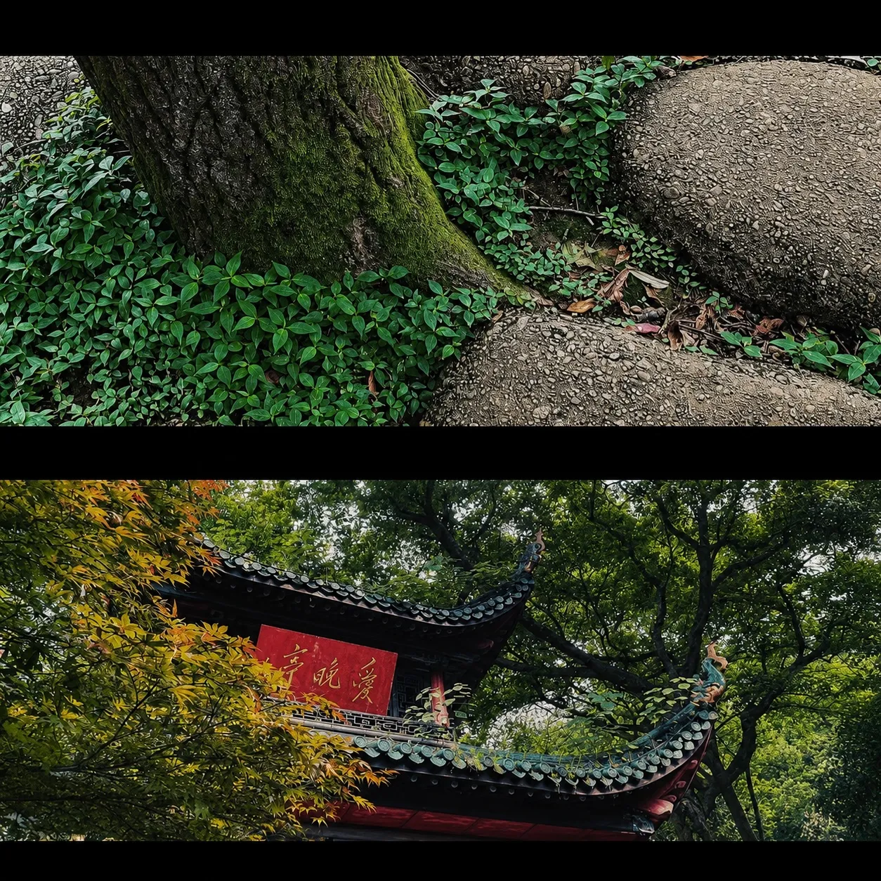 长沙