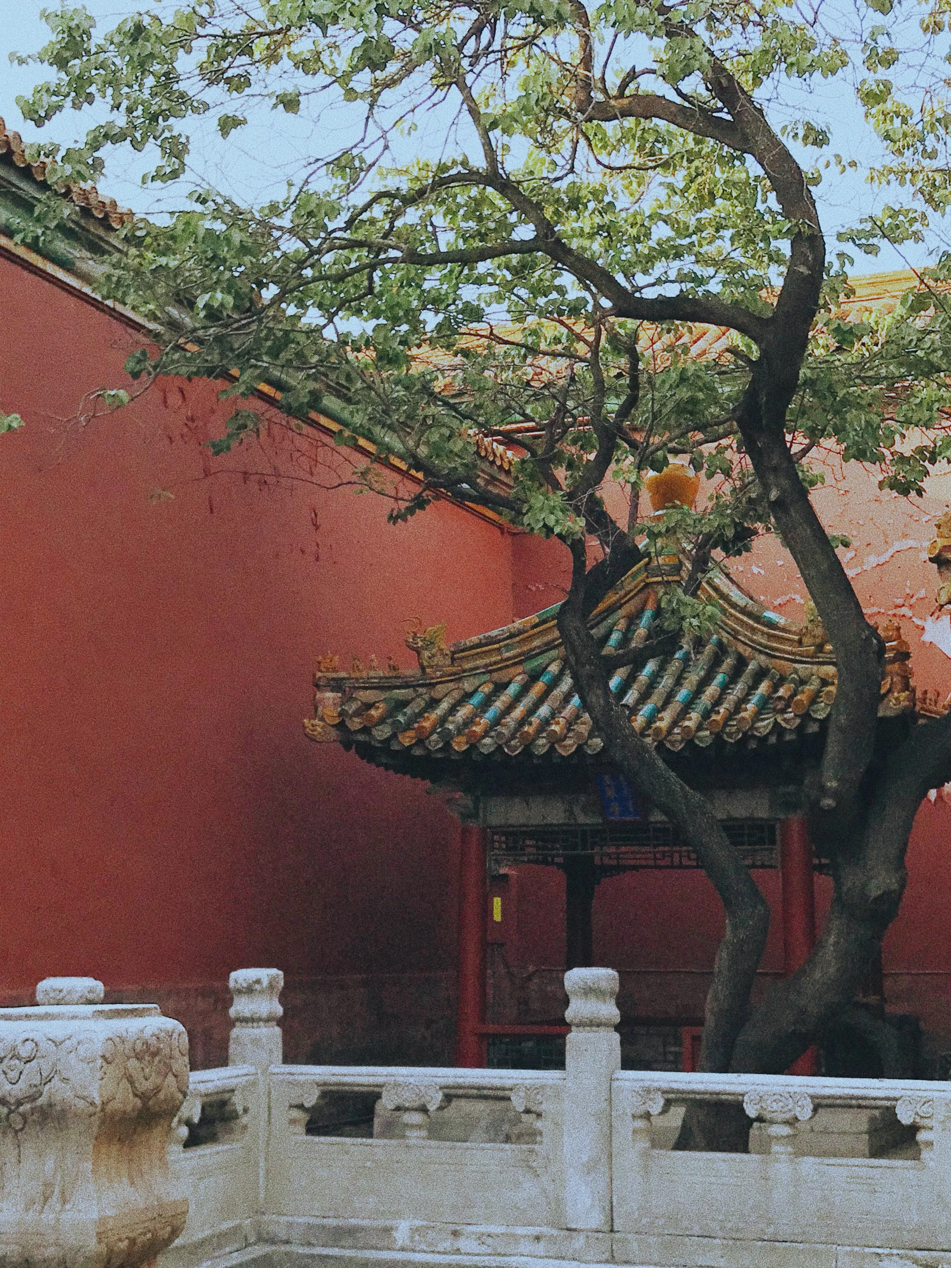 北京
