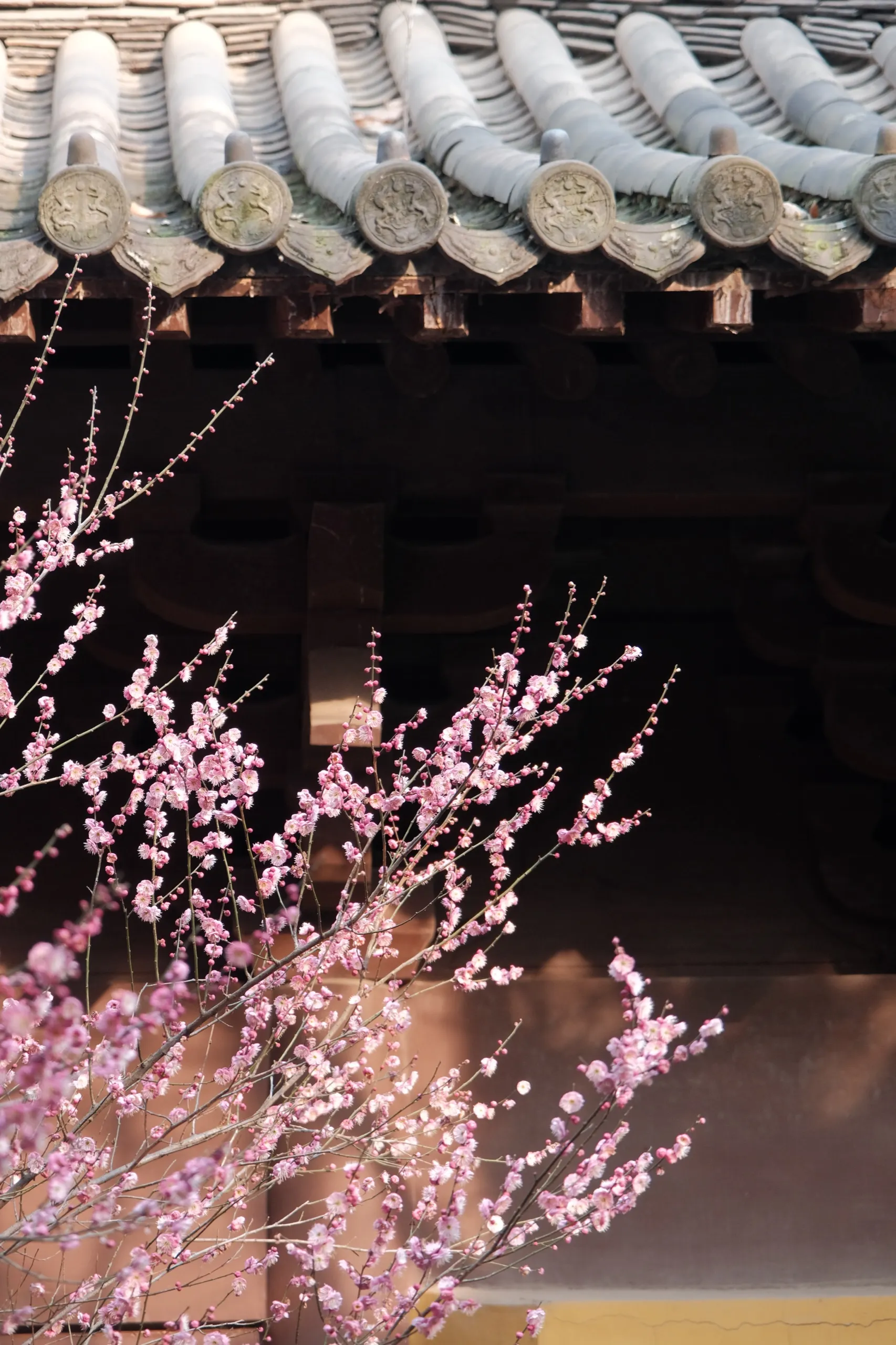 杭州