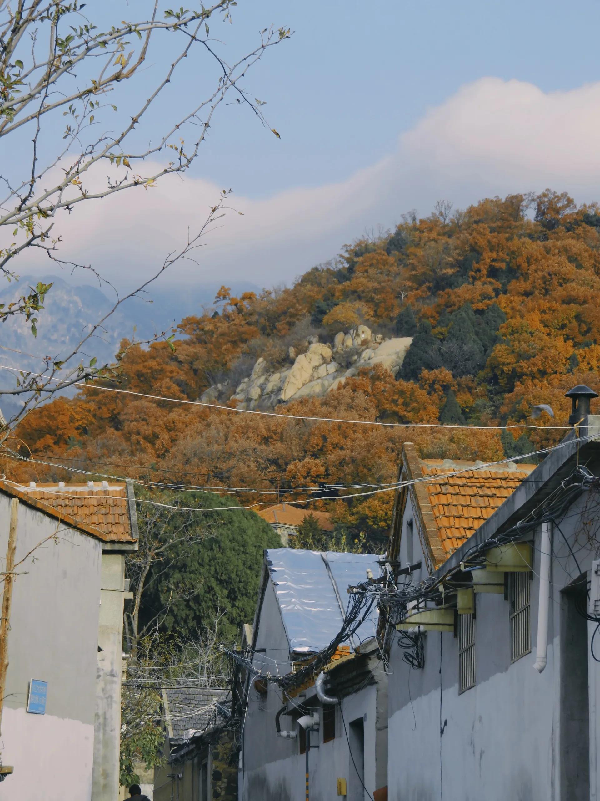 泰山
