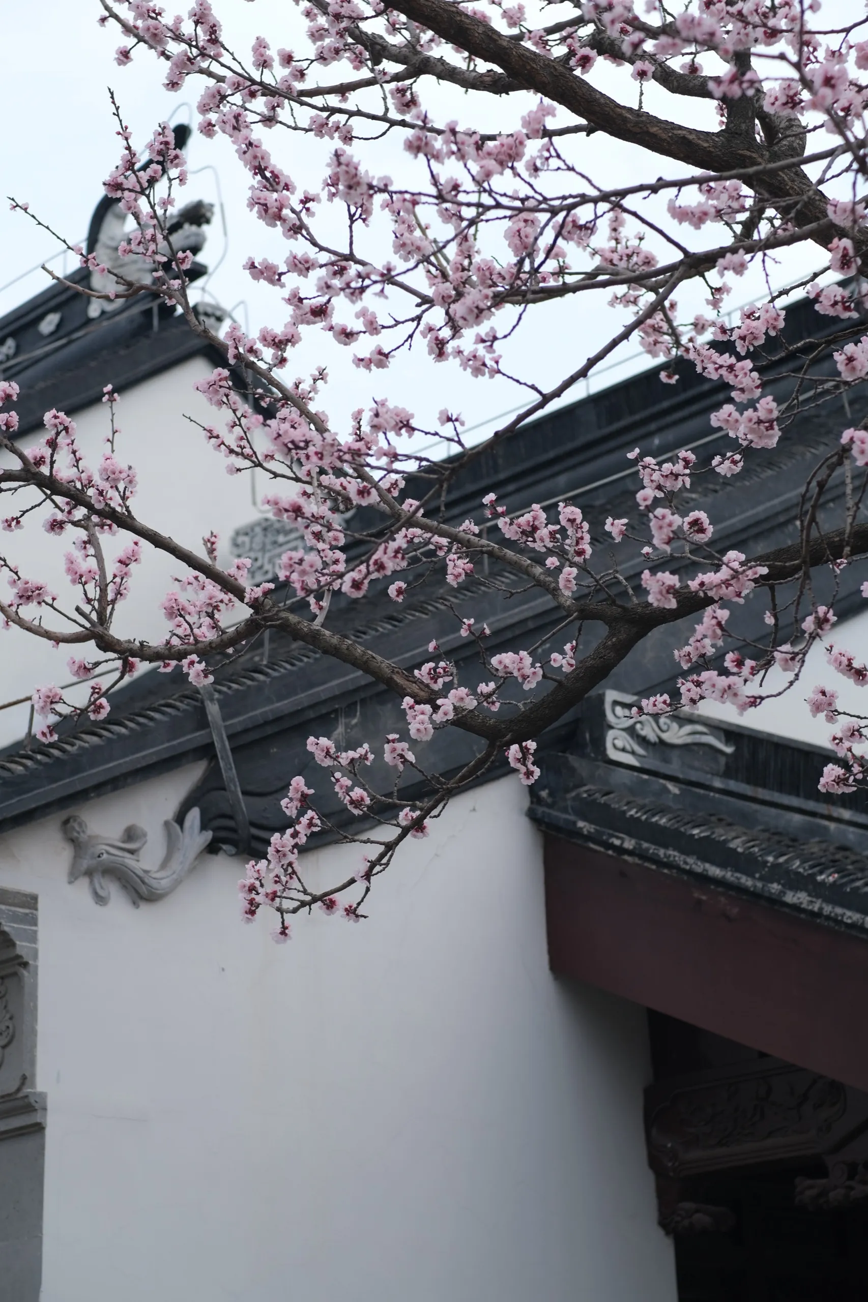 苏州